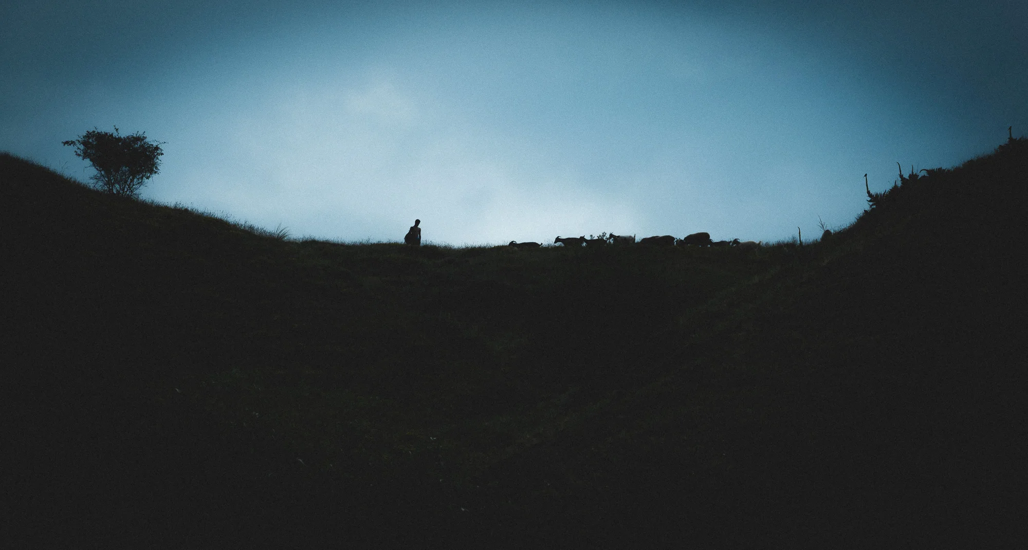 A shepherd's life profoundly describes a way of life deeply-rooted to a place that shapes landscape over time anywhere in this world.