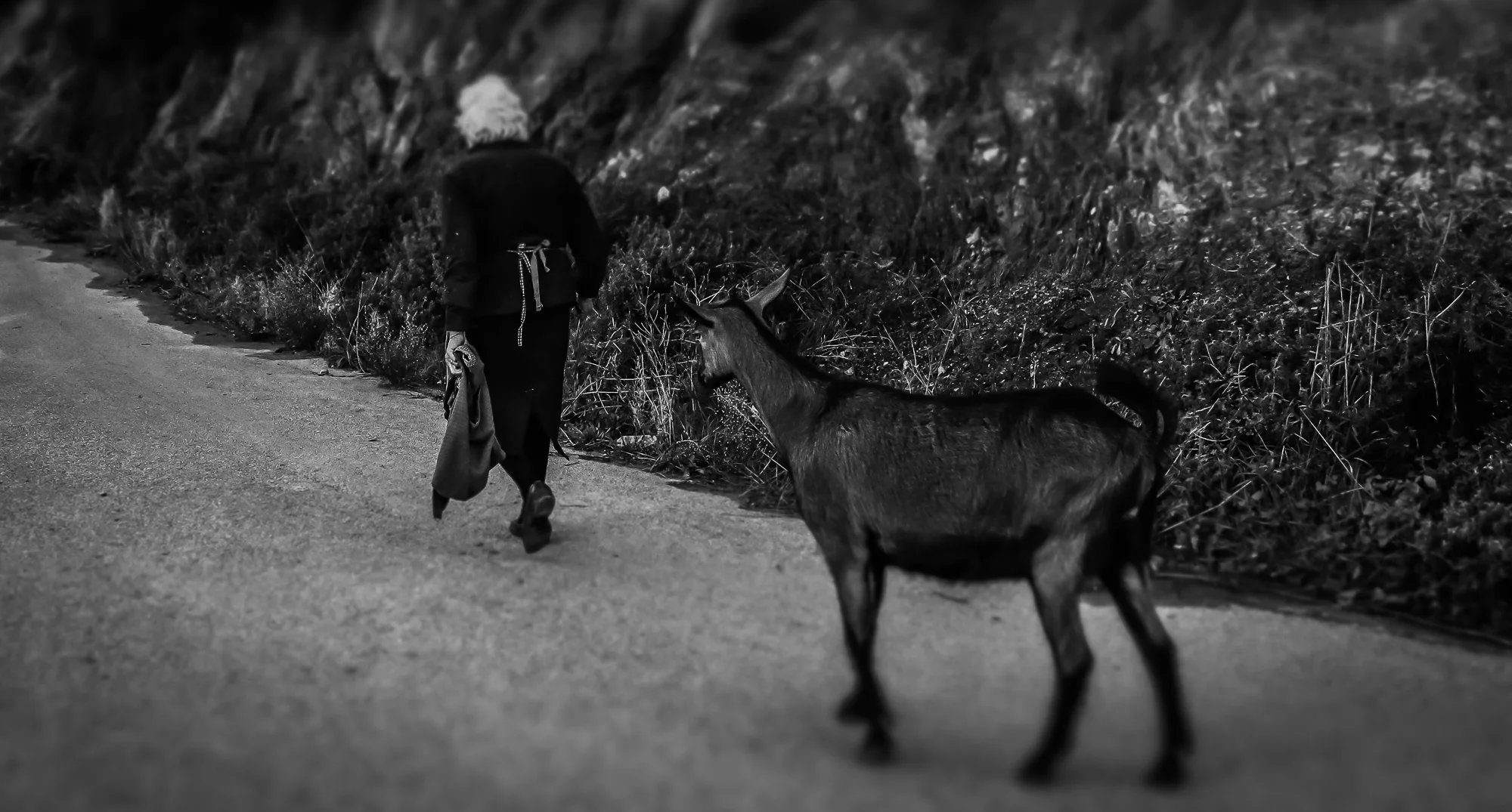 photostories-greek-shepherds-www.stemajourneys.com-198.jpg