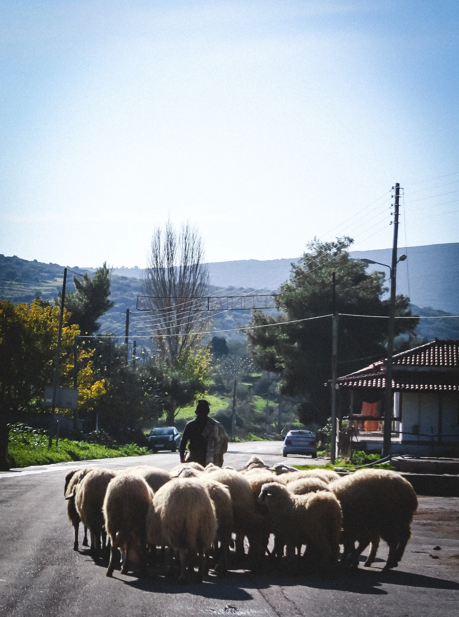 photostories-greek-shepherds-www.stemajourneys.com-305.jpg