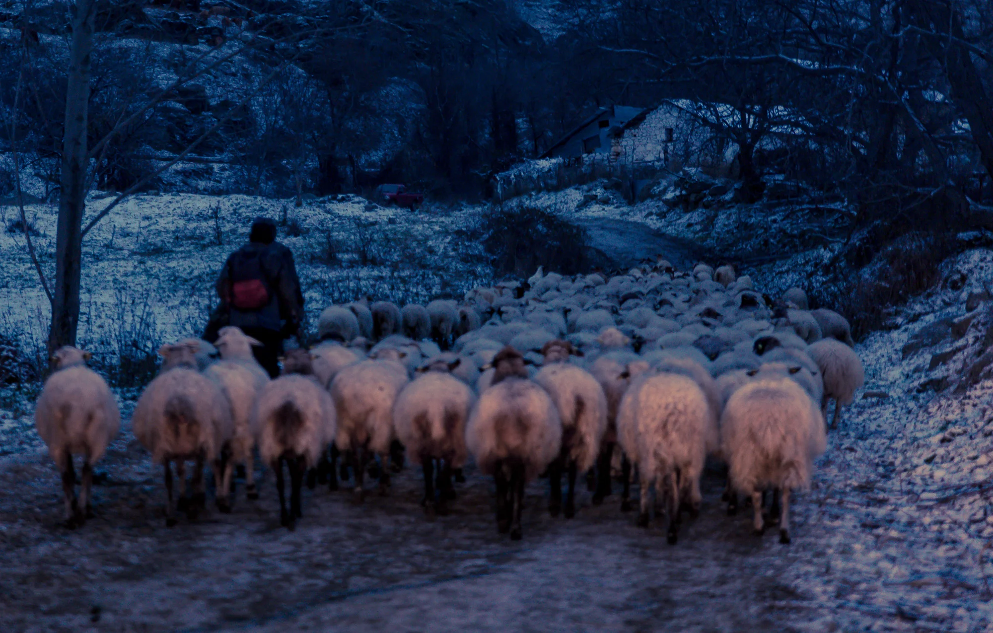 photostories-greek-shepherds-www.stemajourneys.com-353.jpg