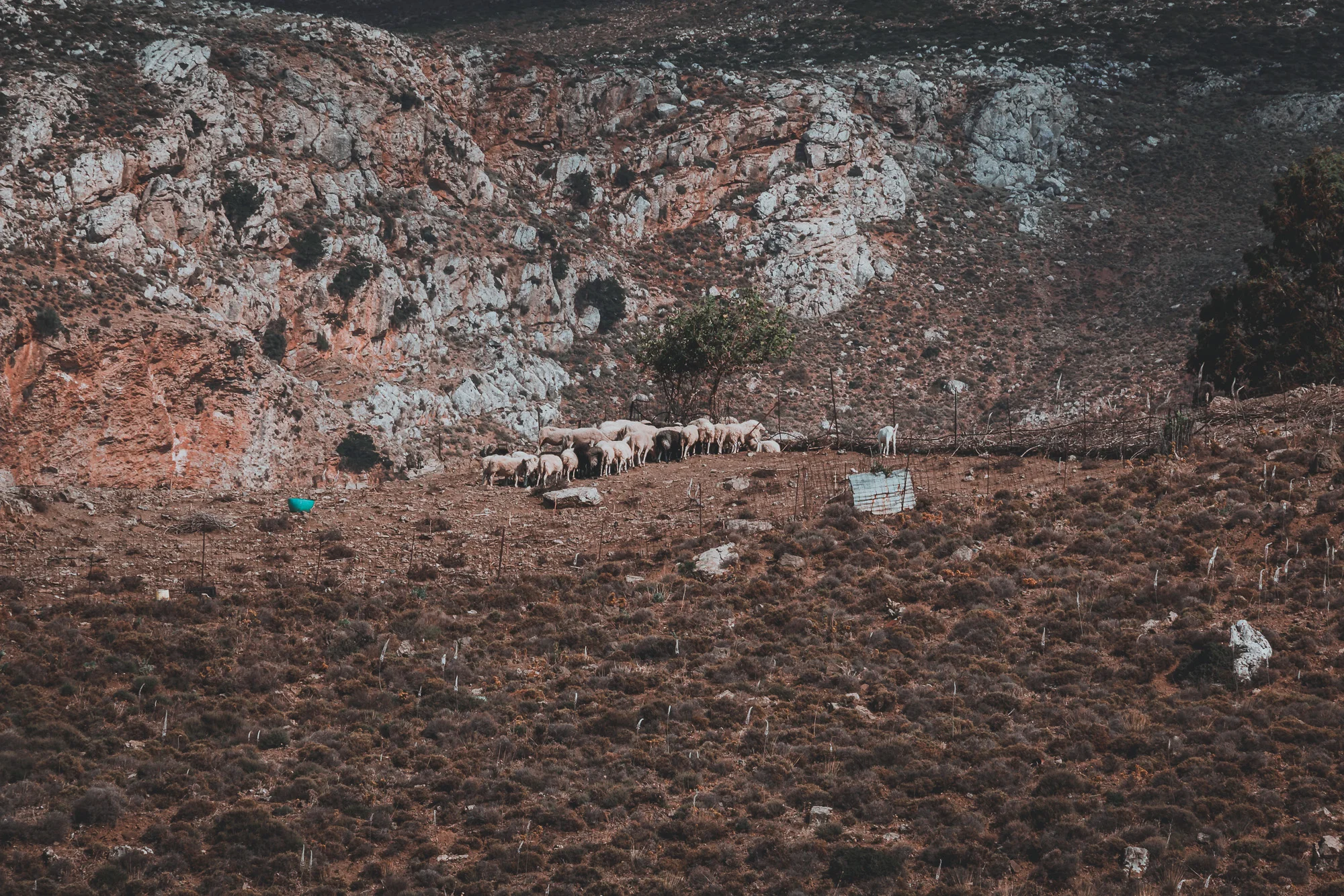 photostories-greek-shepherds-www.stemajourneys.com-403.jpg