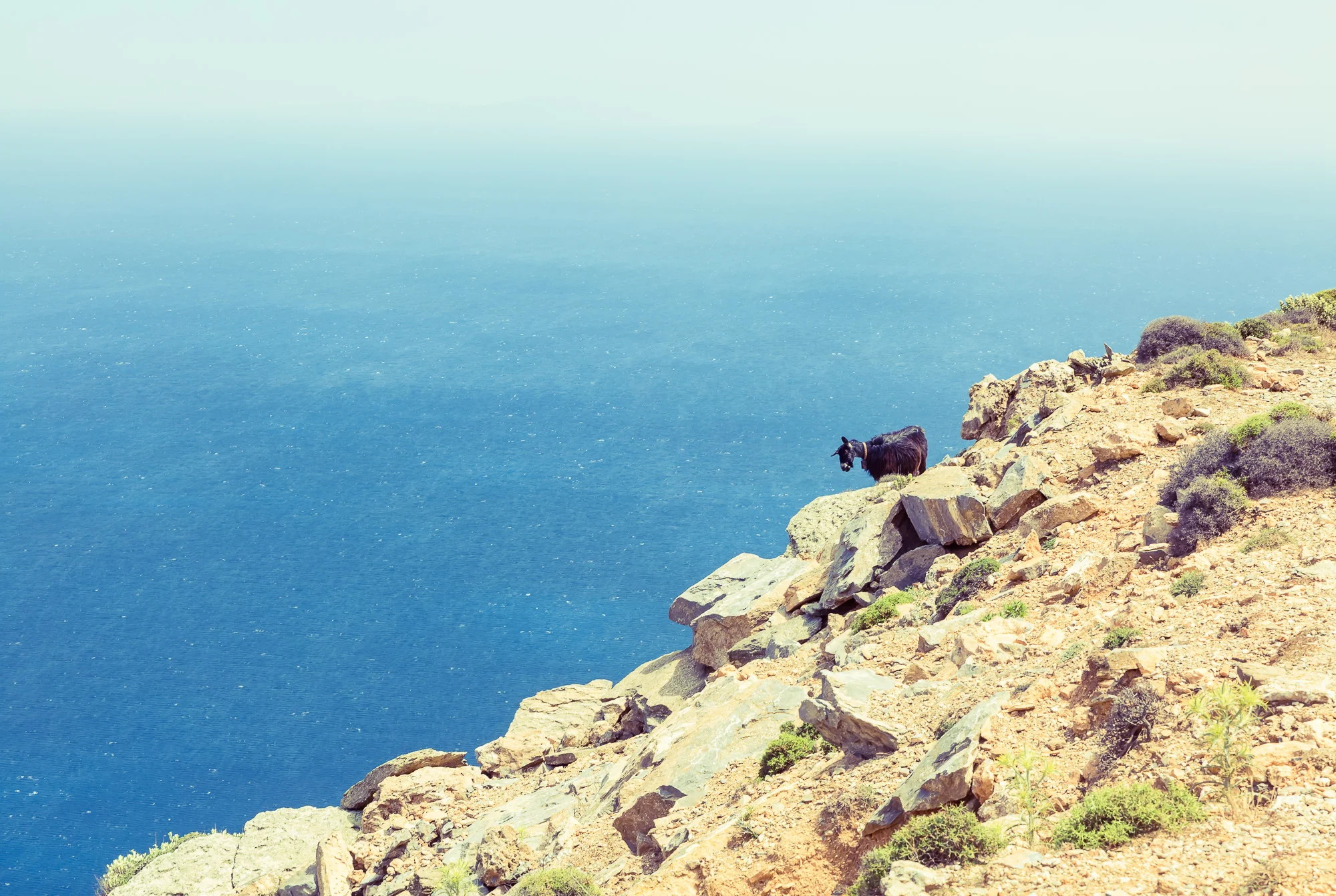 photostories-greek-shepherds-www.stemajourneys.com-519.jpg
