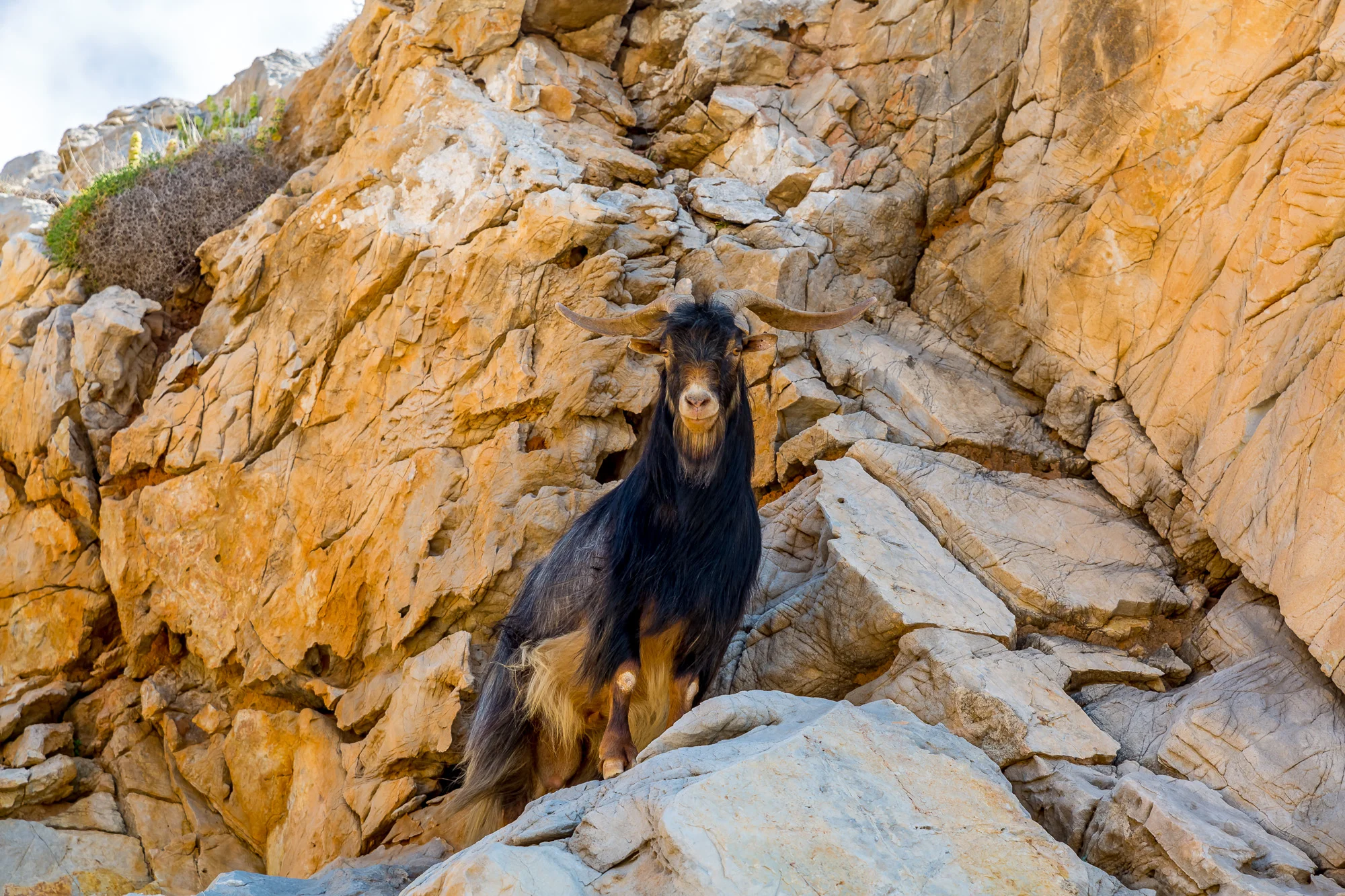 www.stemajourneys.com-amorgos-1552.jpg