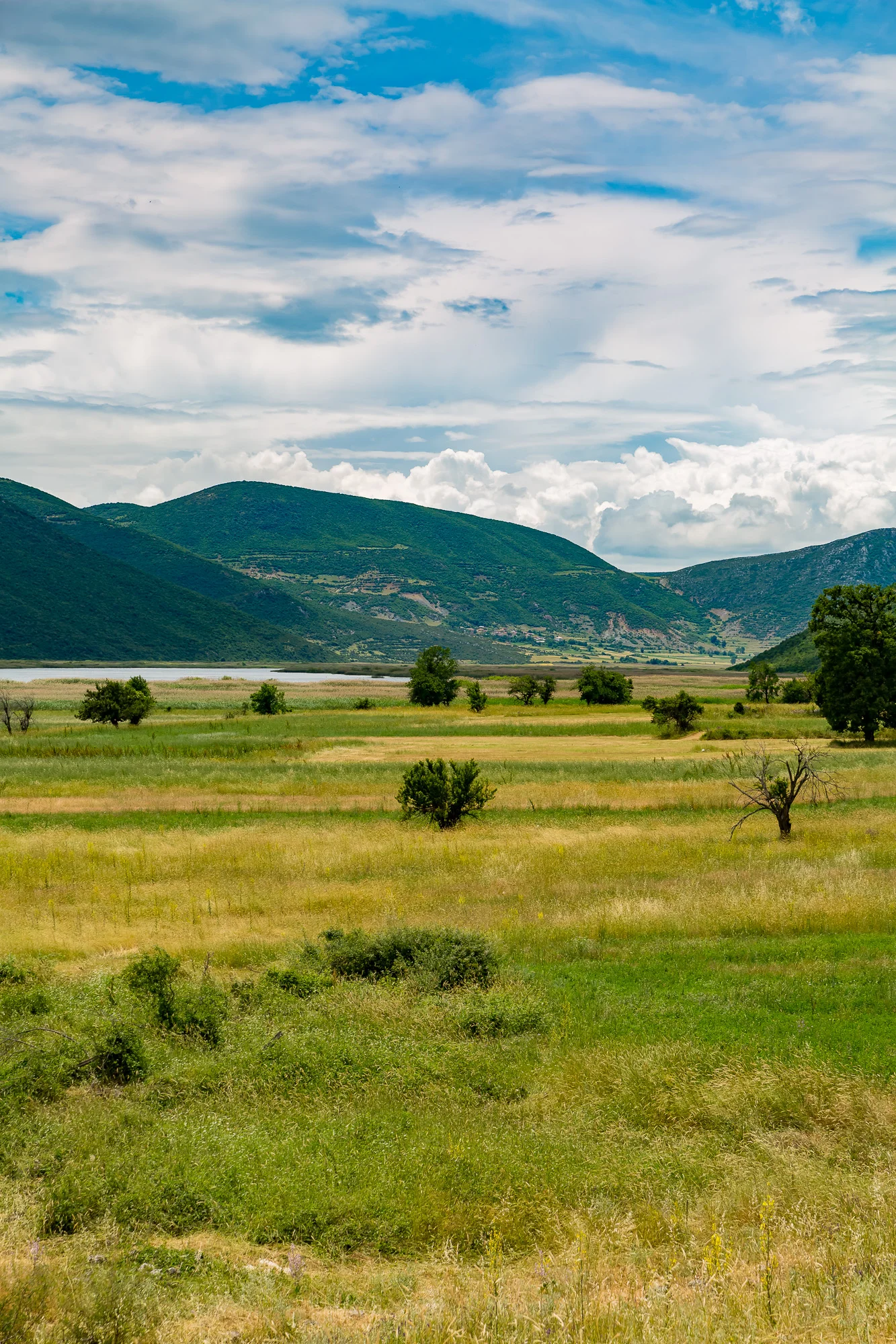 www.stemajourneys.com-prespes-2-greece-479.jpg
