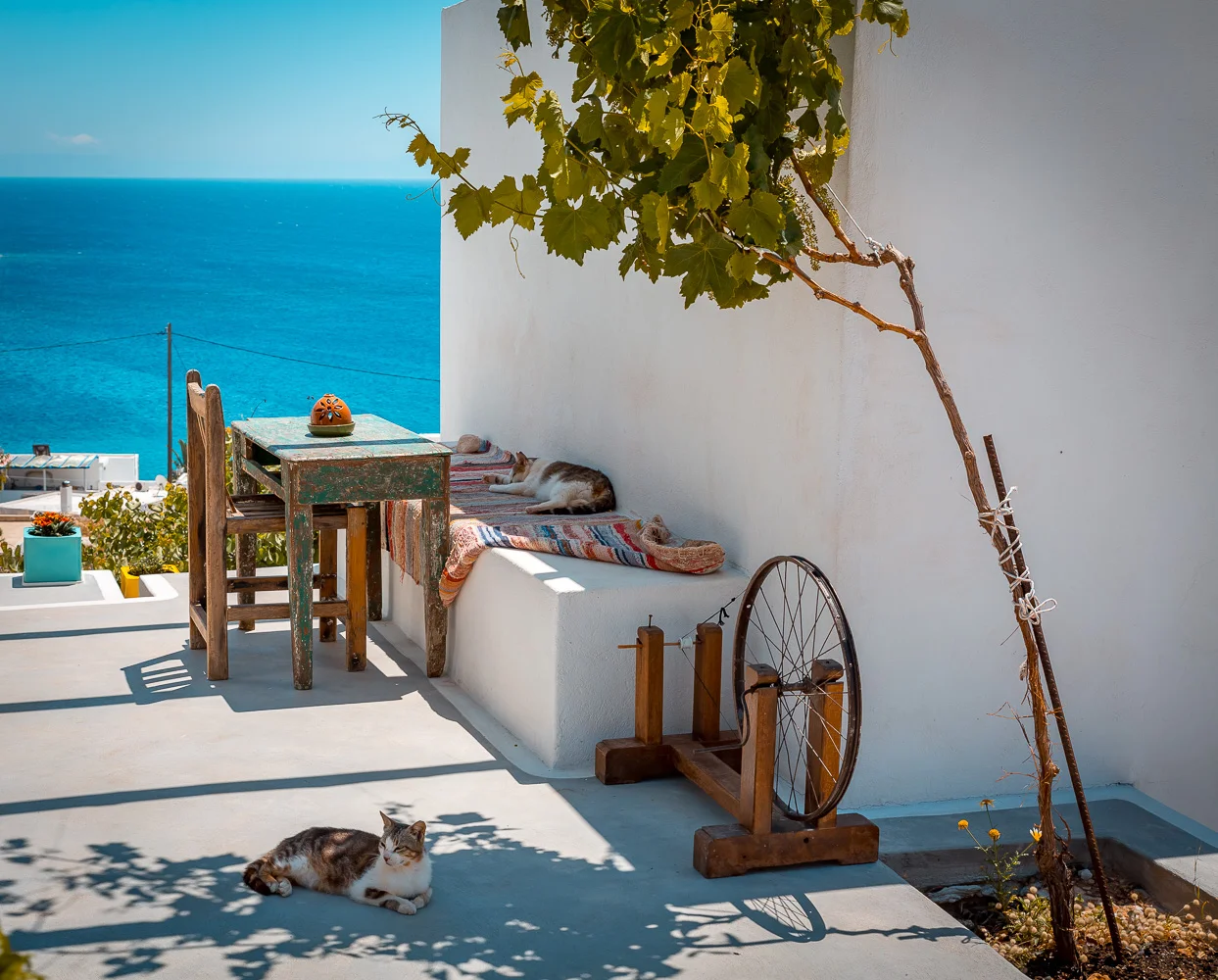 www.stemajourneys.com-donousa-greece-1860.jpg