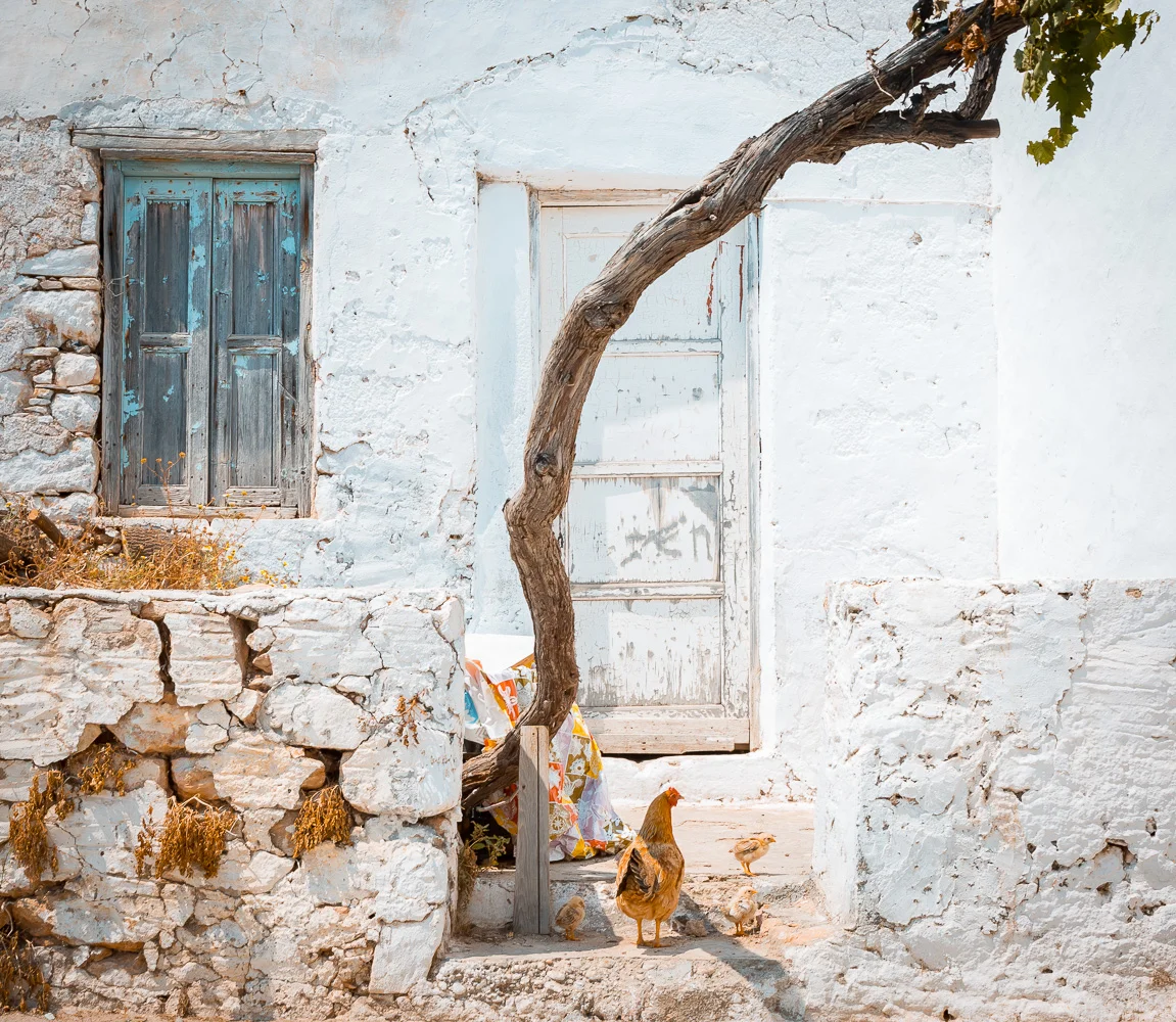 www.stemajourneys.com-donousa-greece-2159.jpg