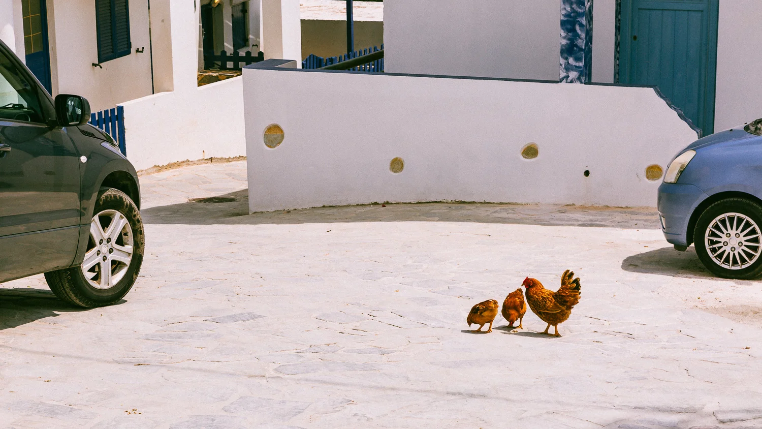 www.stemajourneys.com-donousa-greece-2686.jpg
