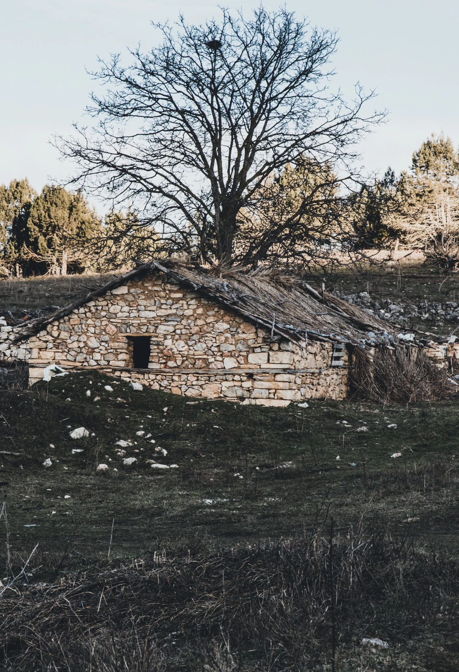 Prespes-463-56.jpg