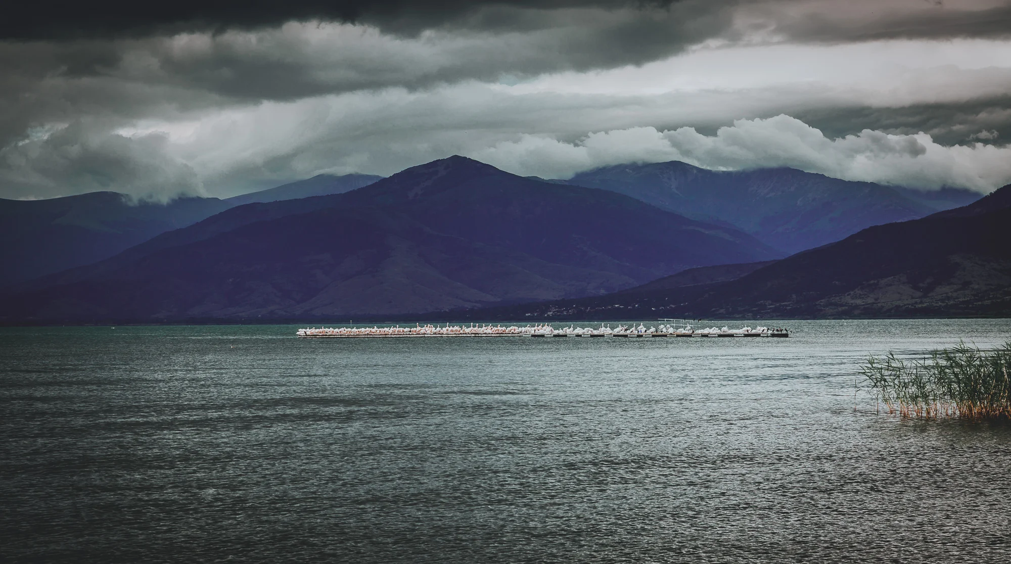 www.stemajourneys.com-prespes-2-greece-1155.jpg