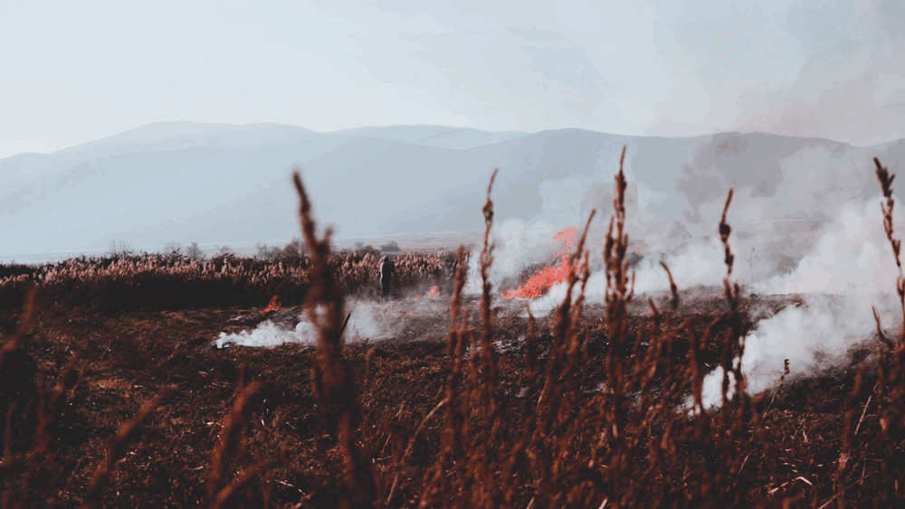 Prespes-cinemgraph2.gif