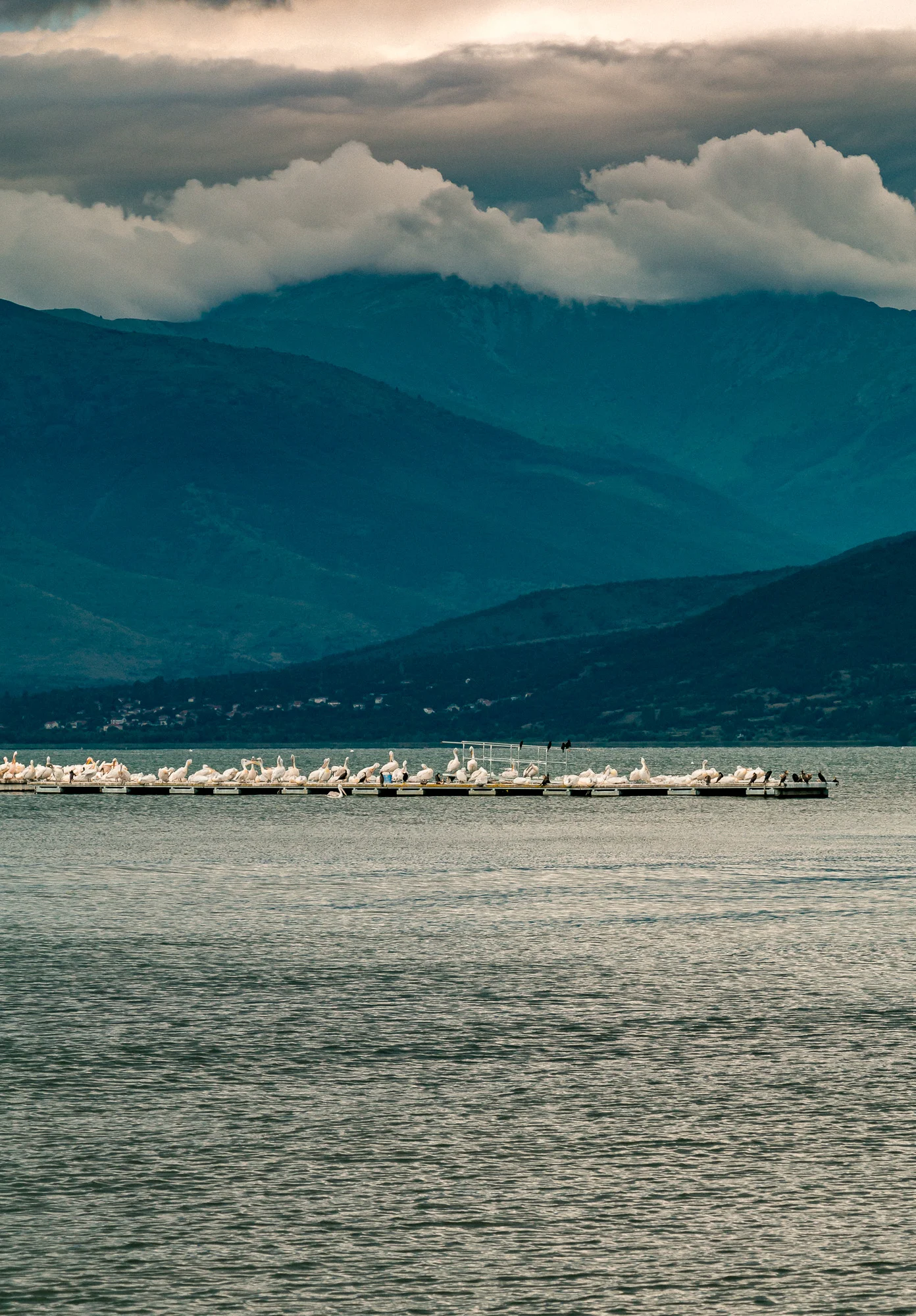 www.stemajourneys.com-prespes-2-greece-1206.jpg