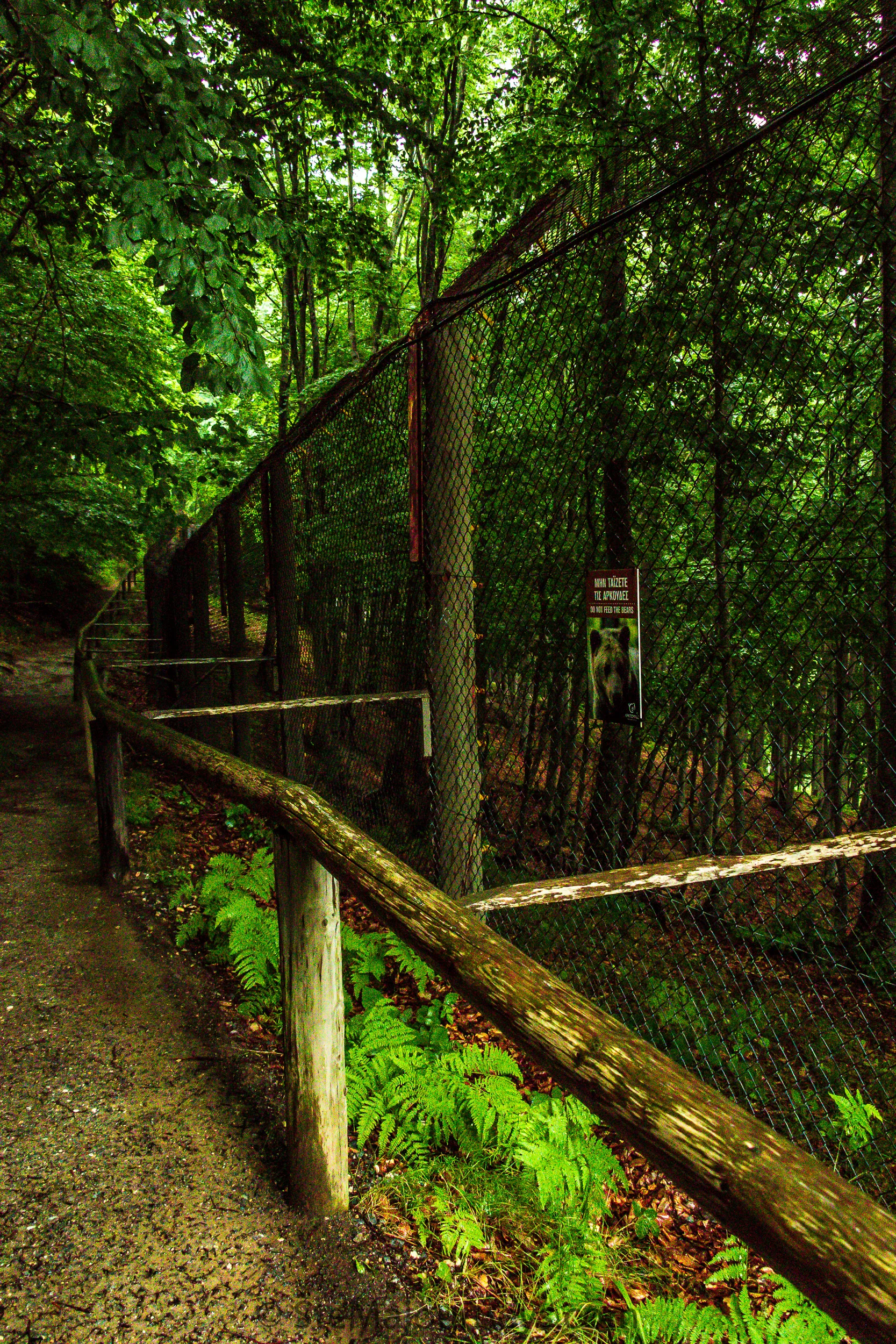 www.stemajourneys.com-arcturos-brown-bear-sanctuary-nymfaio-greece-128.jpg