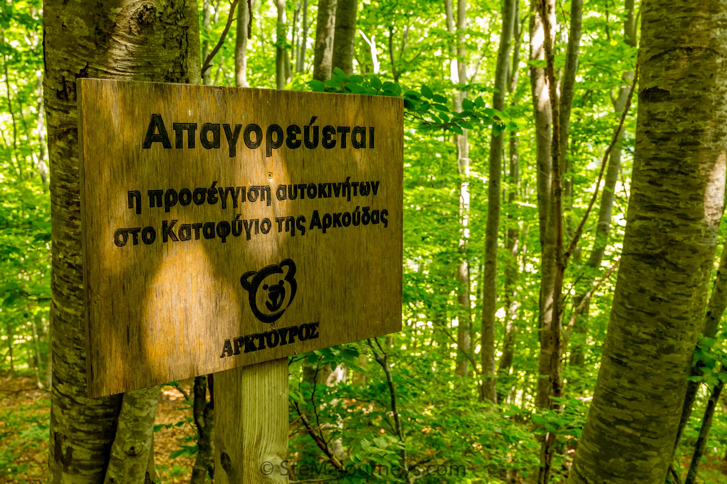 www.stemajourneys.com-arcturos-brown-bear-sanctuary-nymfaio-greece-1.jpg