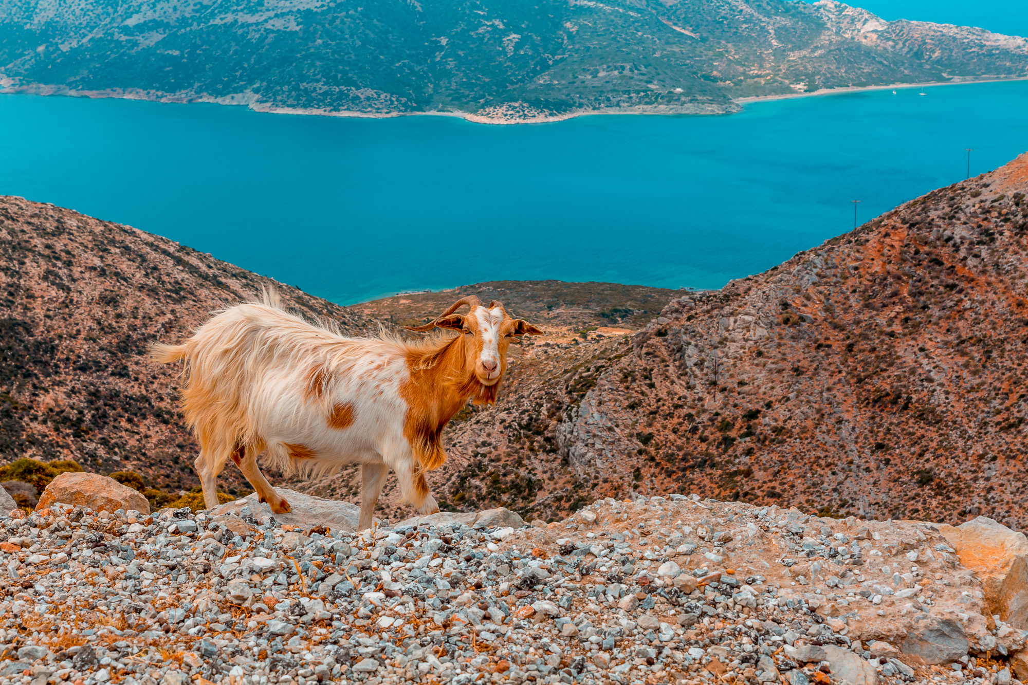 www.stemajourneys.com-amorgos-3077.jpg