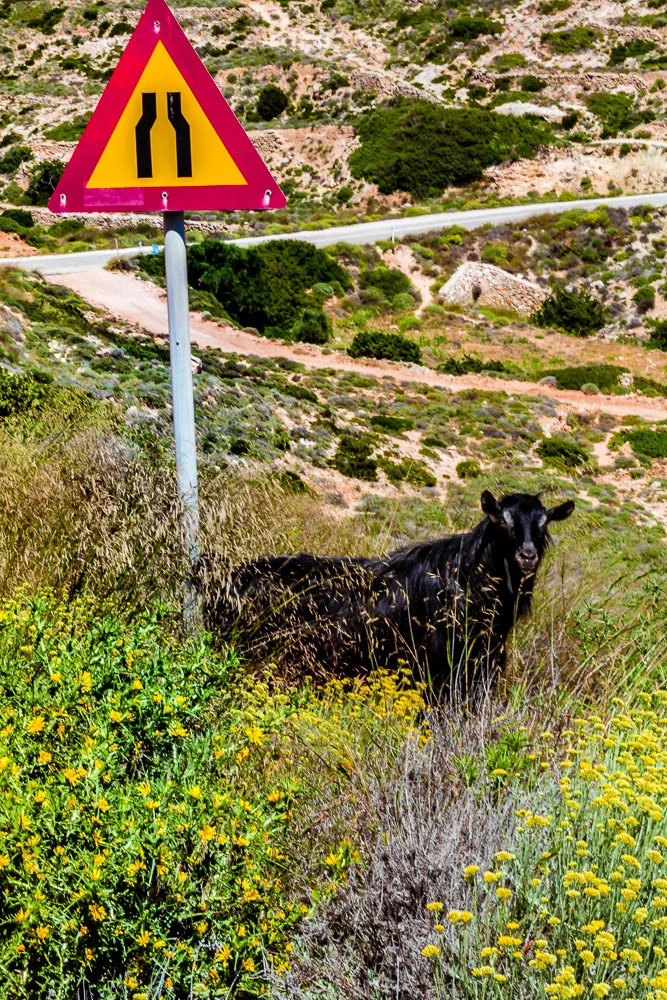 www.stemajourneys.com-donousa-greece-1738.jpg
