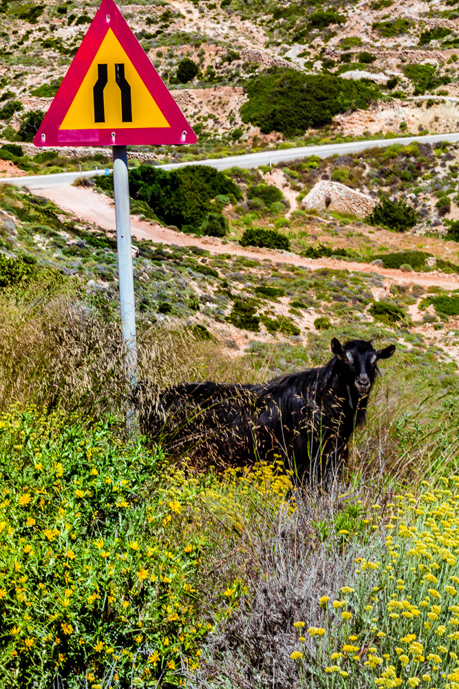 www.stemajourneys.com-donousa-greece-1738.jpg