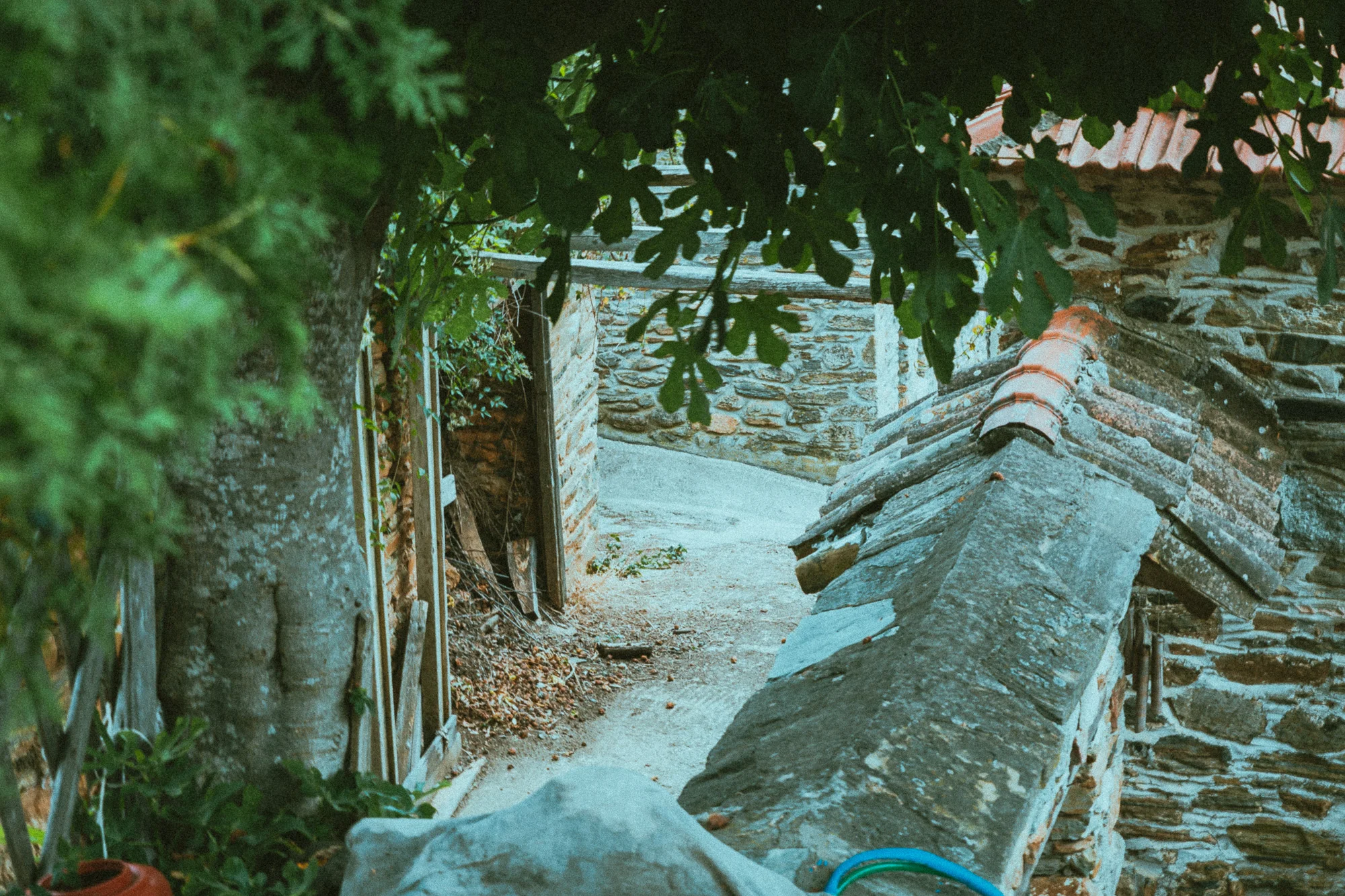 www.stemajourneys.com-parthenon-film-festival-halkidiki-162.jpg