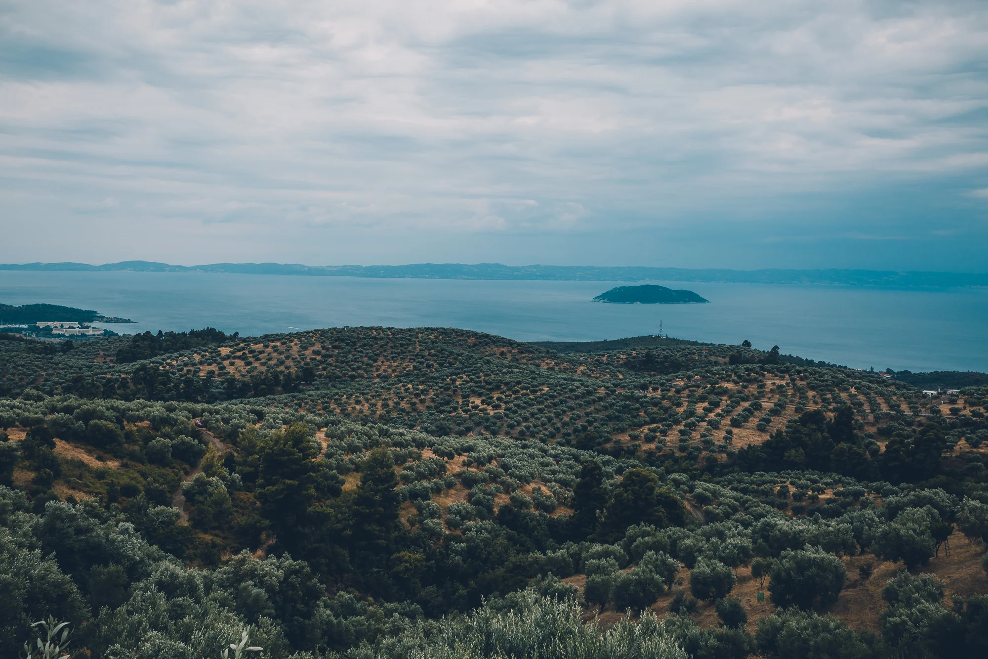 www.stemajourneys.com-parthenon-film-festival-halkidiki-229.jpg