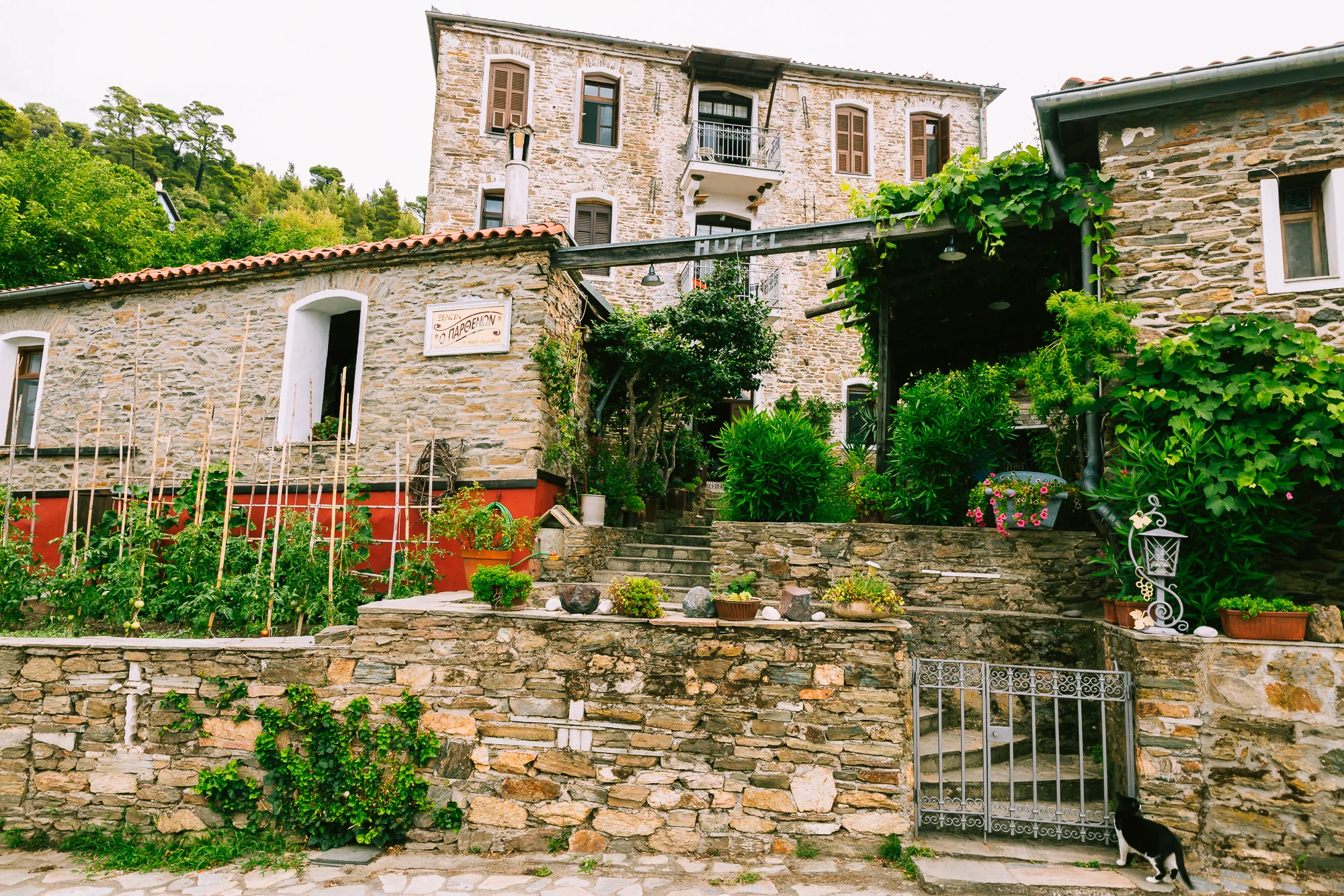 www.stemajourneys.com-parthenon-film-festival-halkidiki-259.jpg
