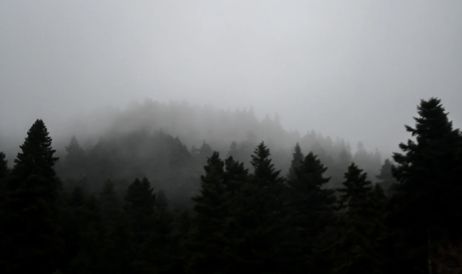 www.SteMajourneys.com-37.jpg