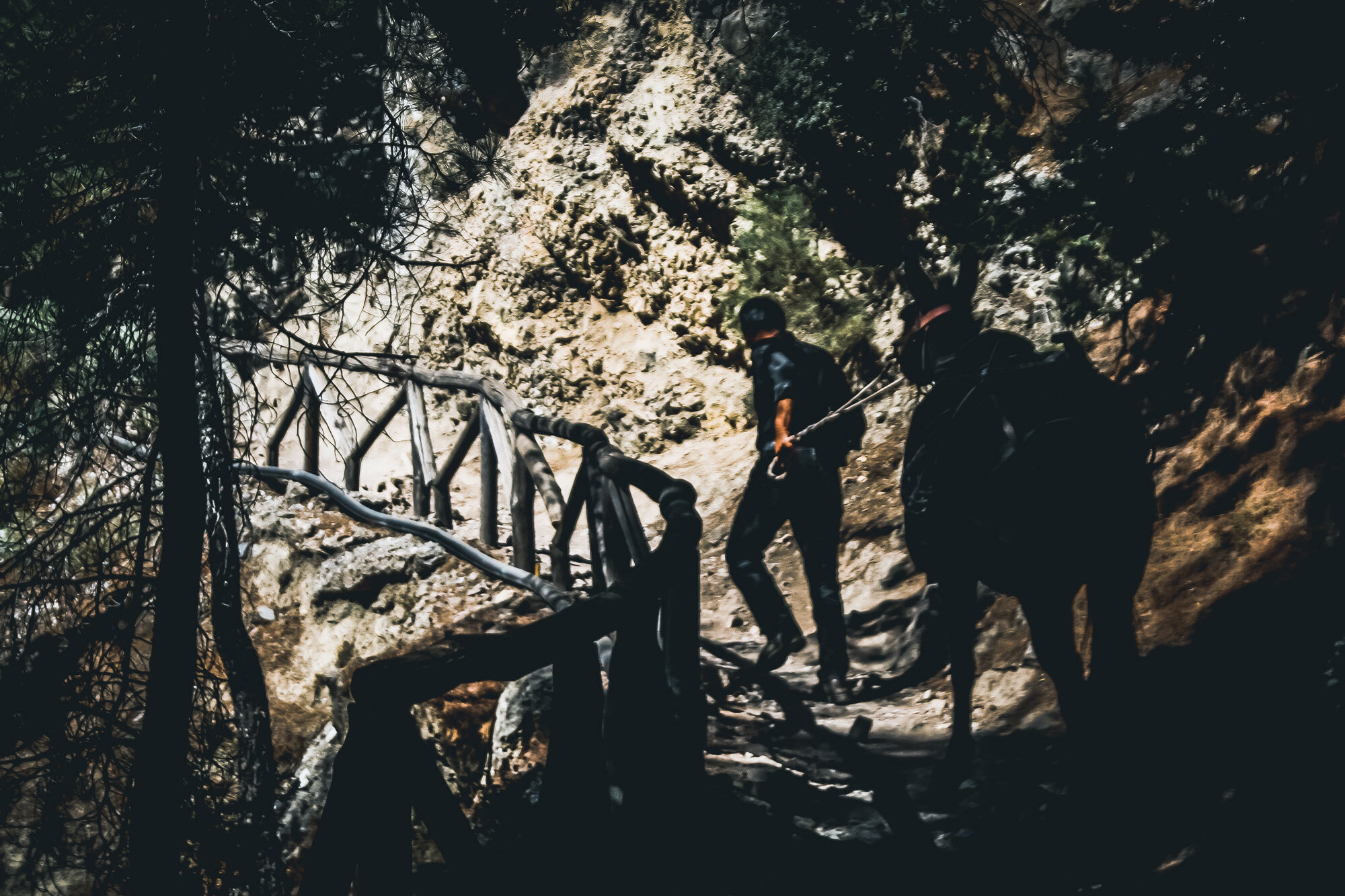 www.stemajourneys.com-crete-greece-samaria-gorge-donkey.jpg