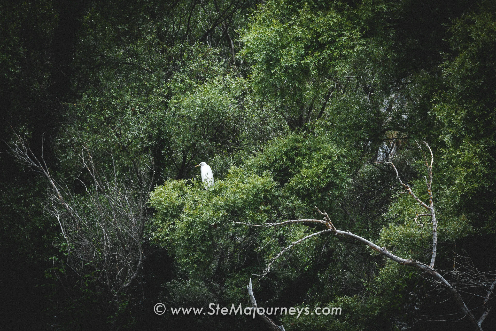 www.stemajourneys.com-prespes-fb-33.jpg