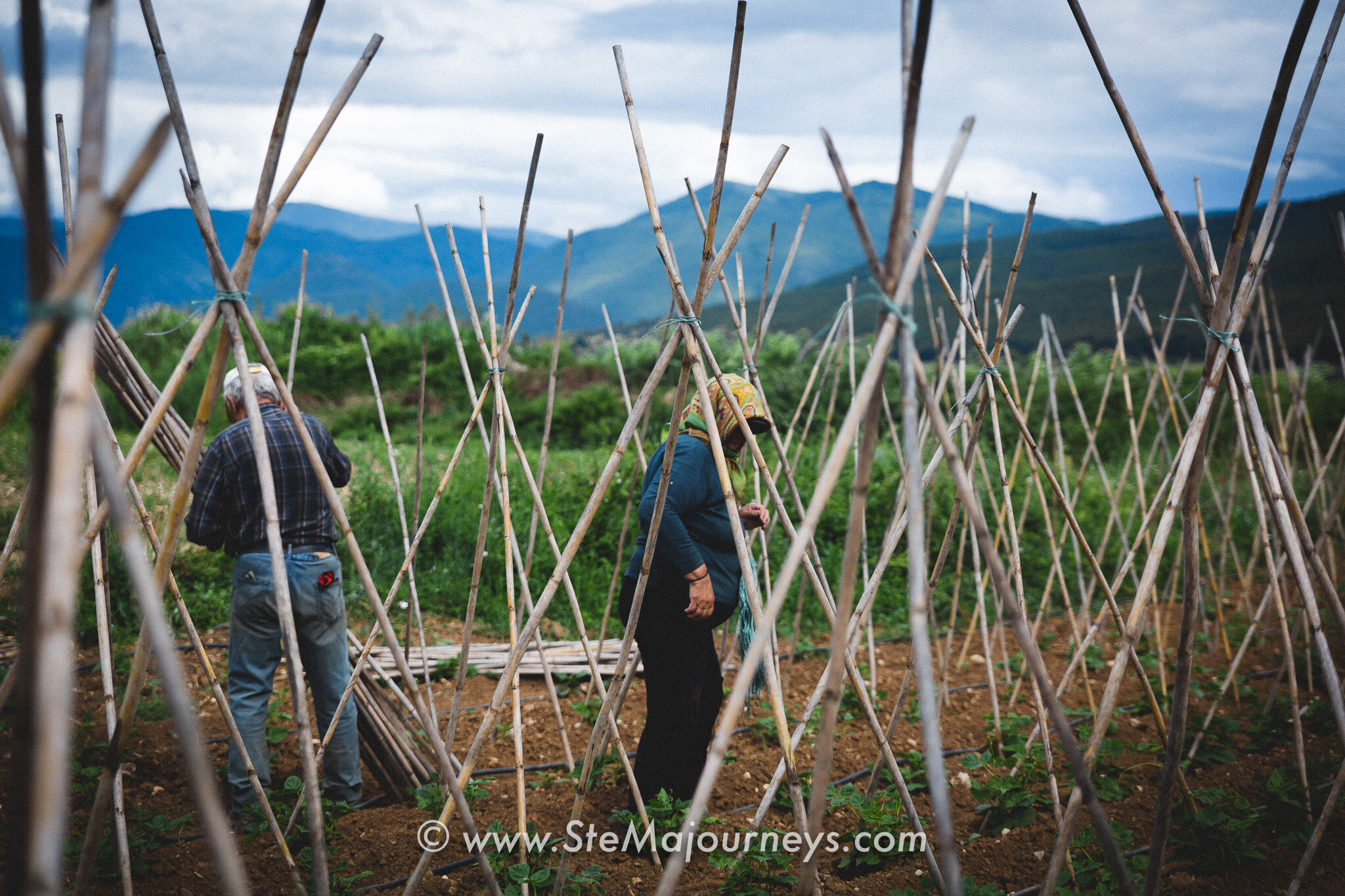 www.stemajourneys.com-prespes-fb-50.jpg
