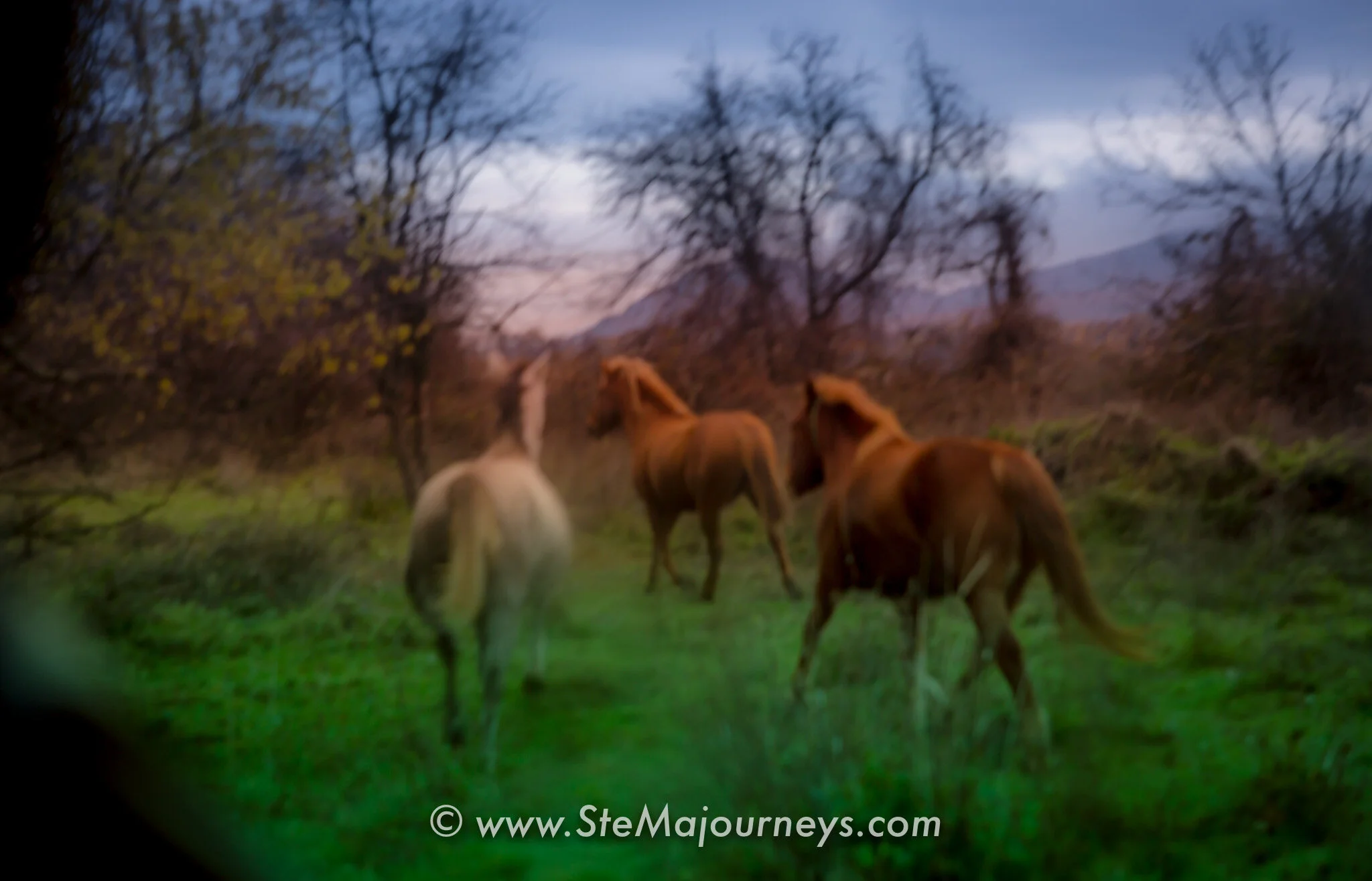 www.stemajourneys.com-prespes-fb-152.jpg