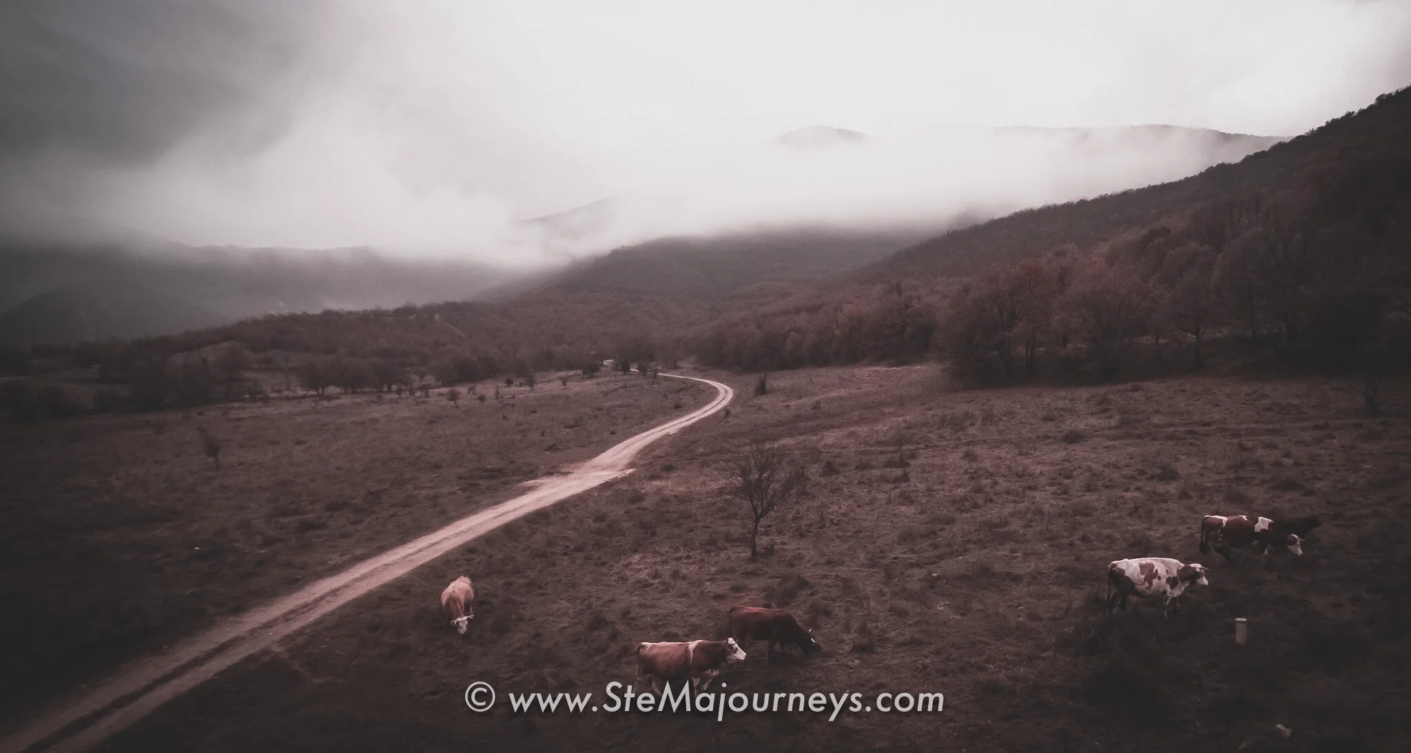 www.stemajourneys.com-prespes-fb-154.jpg