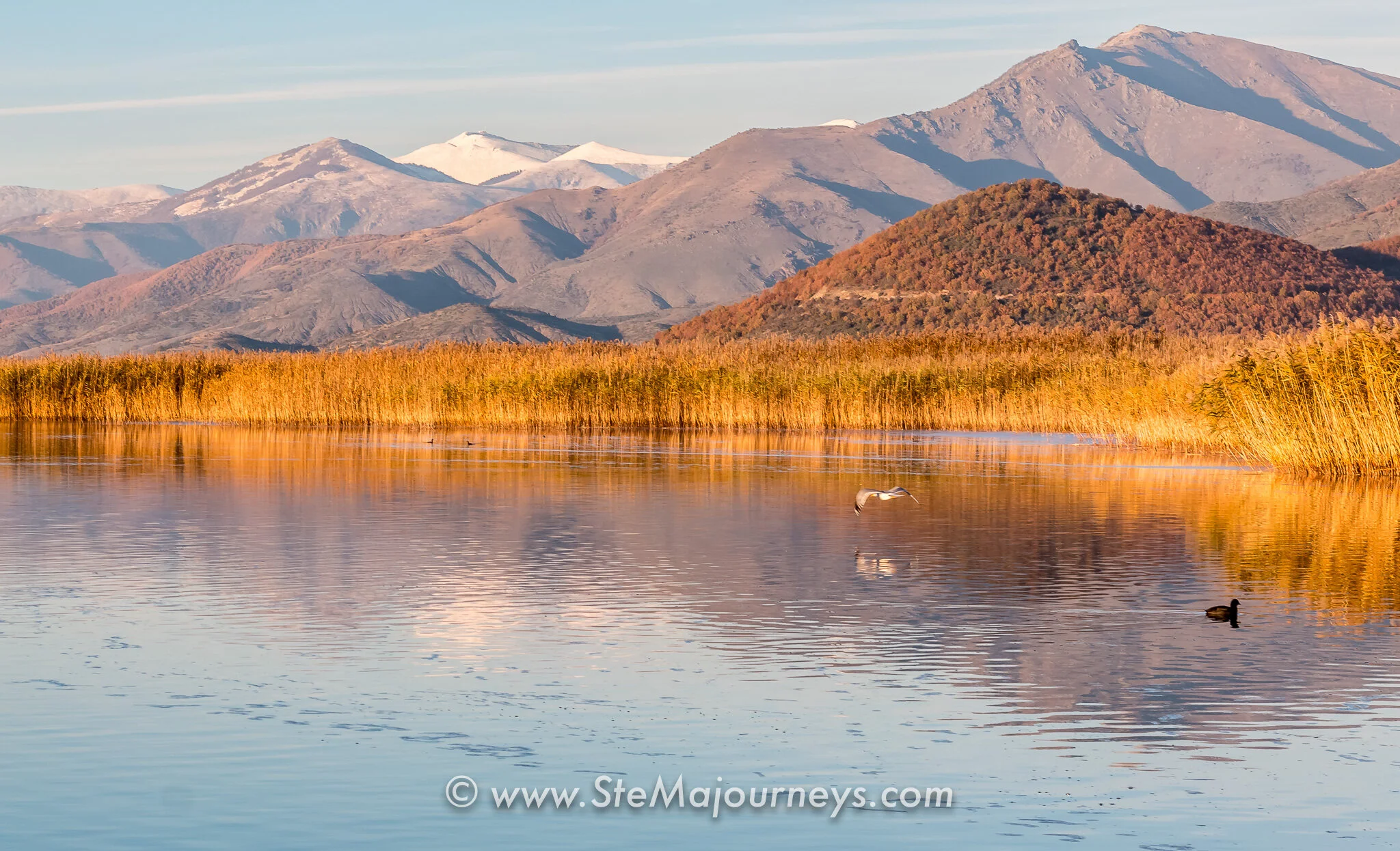 www.stemajourneys.com-prespes-fb-217.jpg