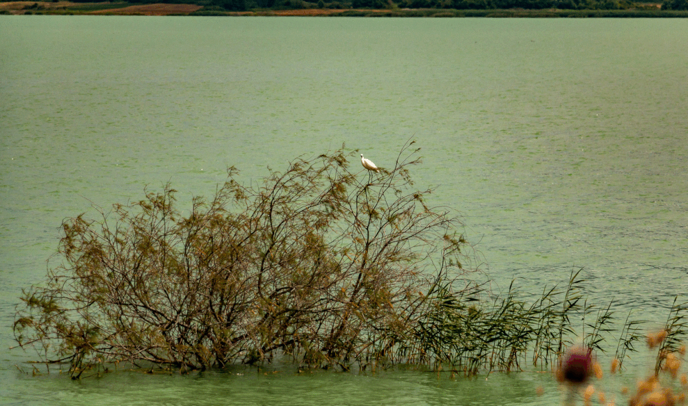 Webp.net-gifmaker (1).gif