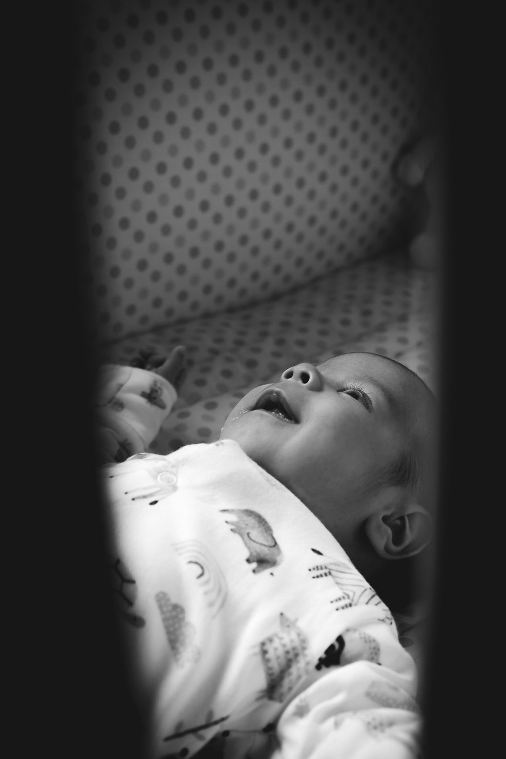 www.stemajourneys.com-baby-vrigos-b&w-469.jpg