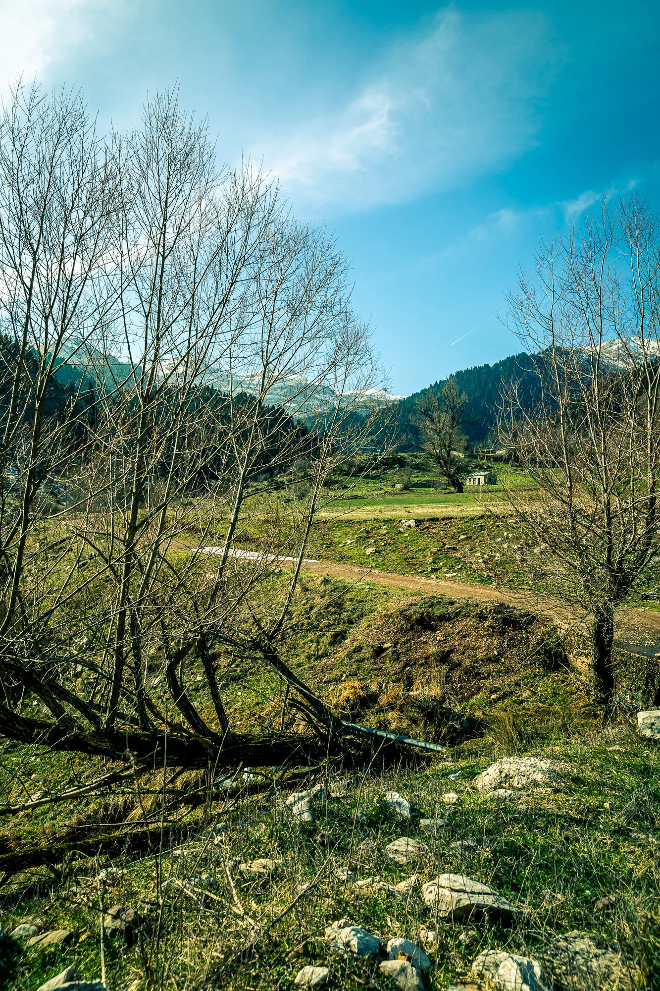 www.stemajourneys.com-chaliki-trikala-greece-2020-996.jpg