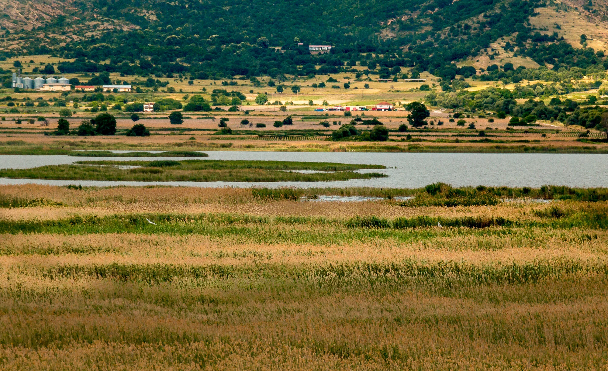www.stemajourneys.com-prespes-2-greece-748.jpg