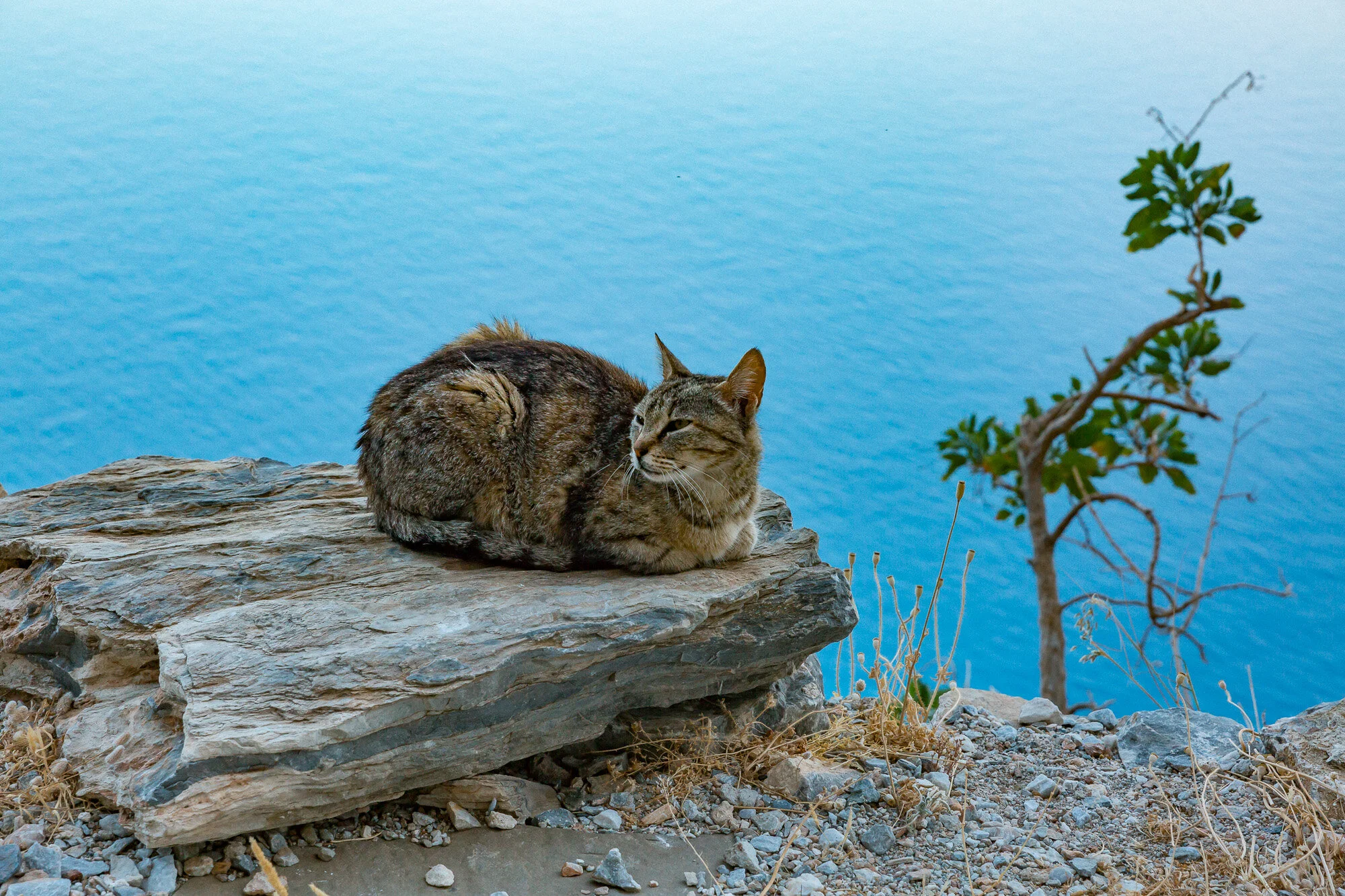 www.stemajourneys.com-amorgos-extra-459.jpg