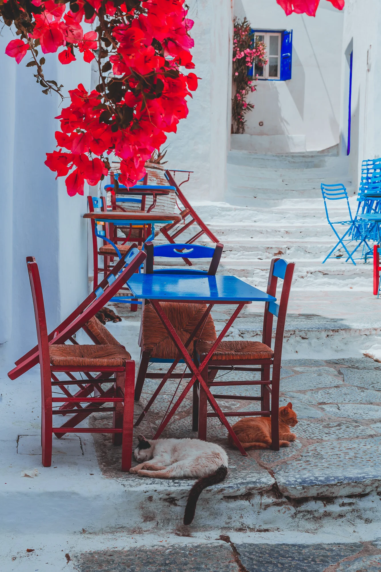 www.stemajourneys.com-amorgos-extra-638.jpg