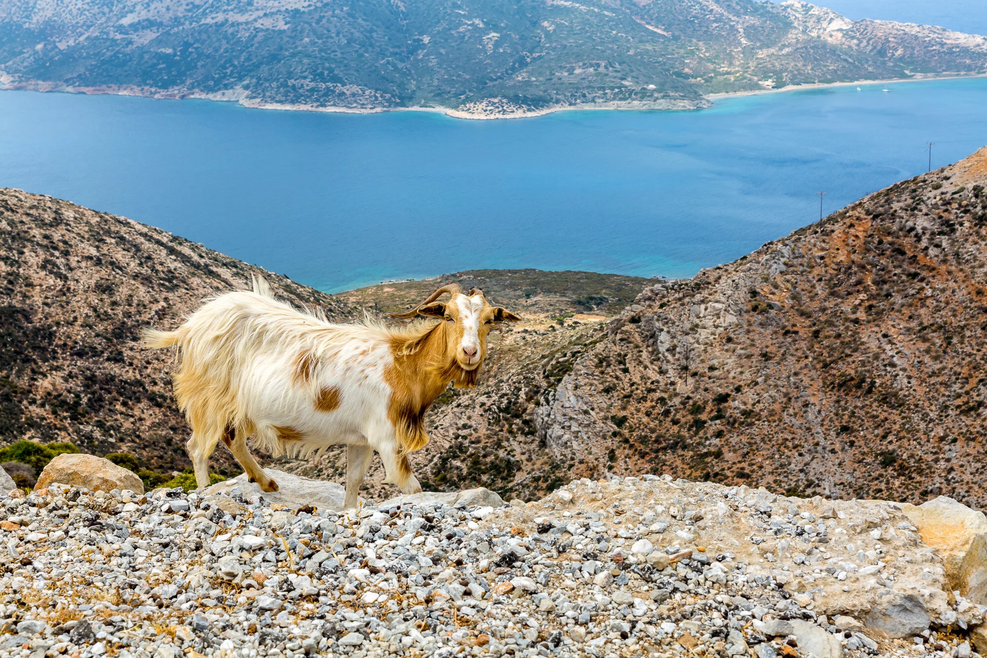 www.stemajourneys.com-amorgos-324.jpg