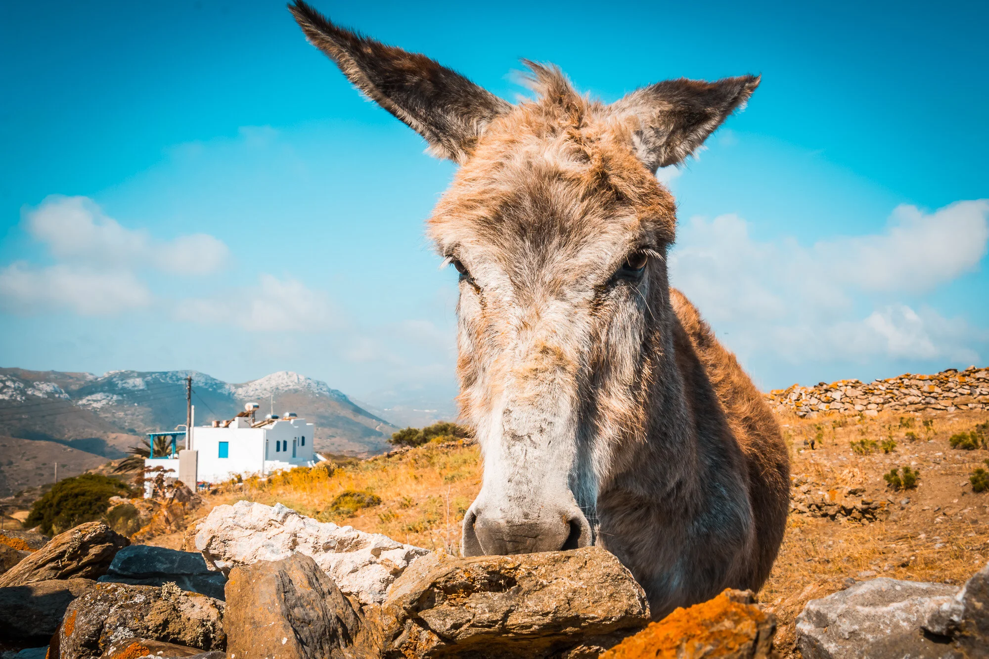 www.stemajourneys.com-amorgos-extra-851.jpg