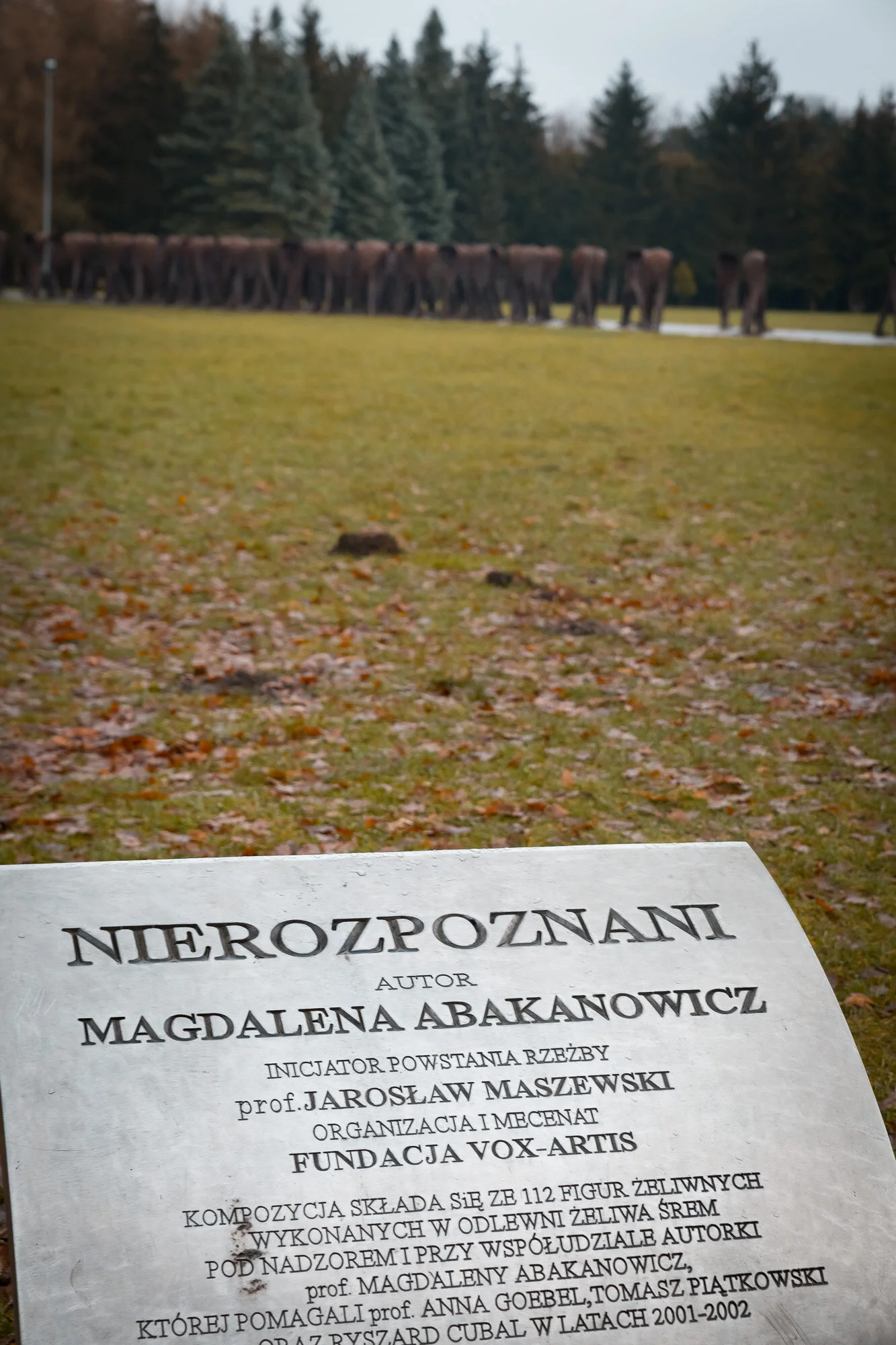www.stemajourneys.com-poznan-1771.jpg