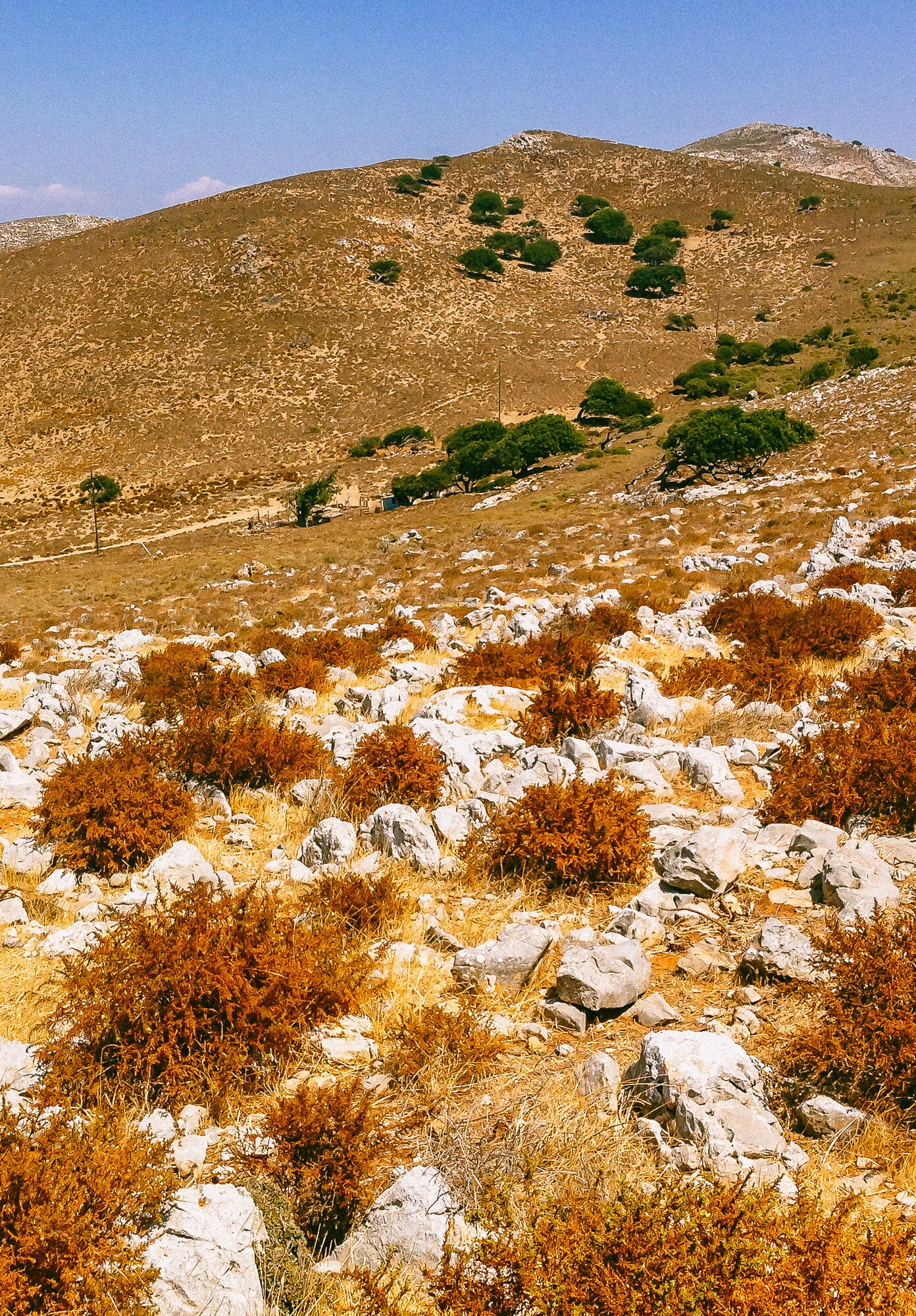 www.stemajourneys.com-pserimos-1008.jpg