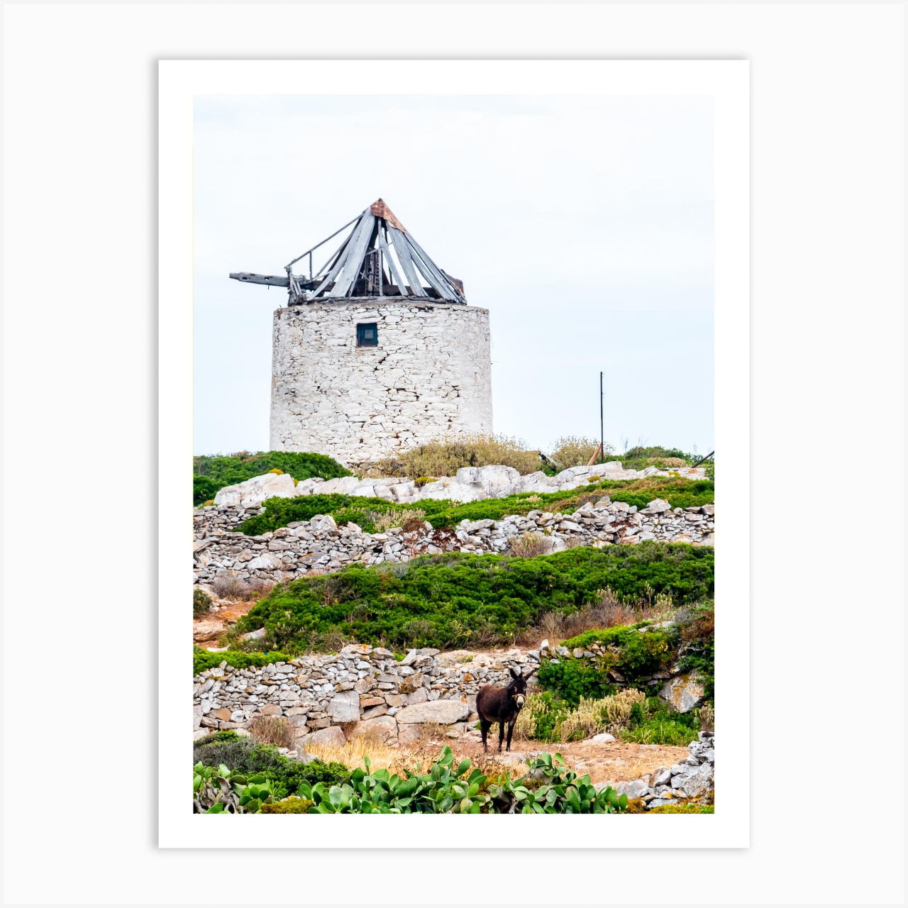 stemajourneys_60x80_various_withframe_examplewall (7).png