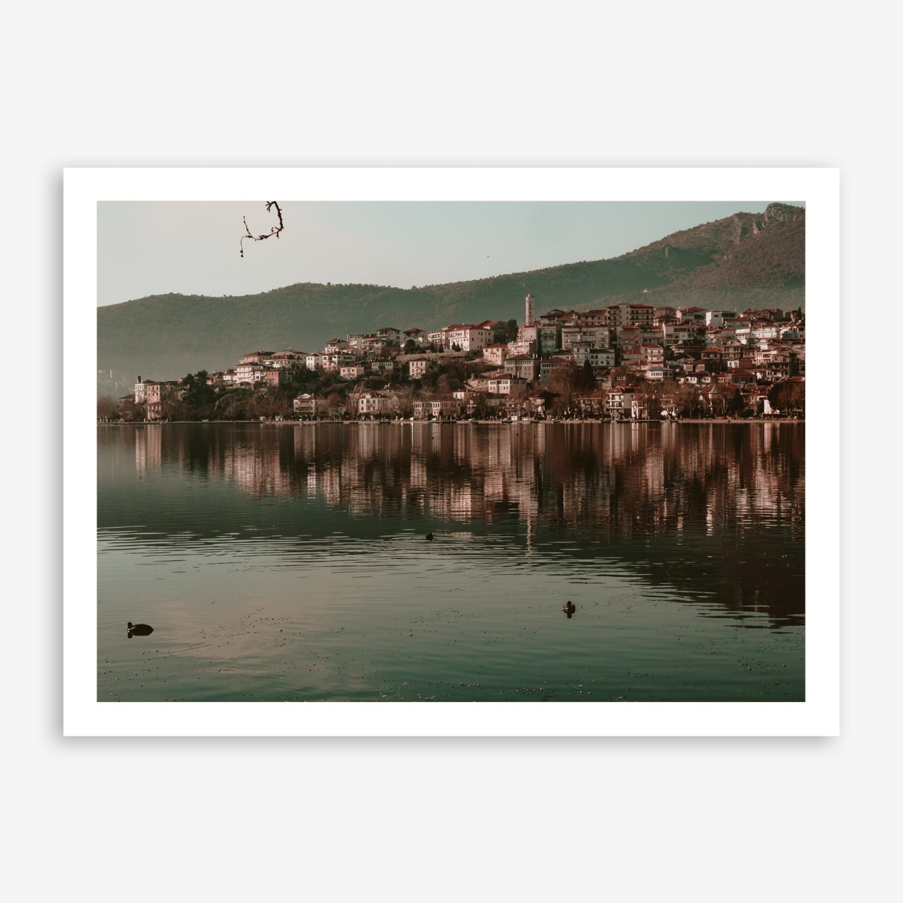 stemajourneys_60x80_various_withframe_examplewall (1).png