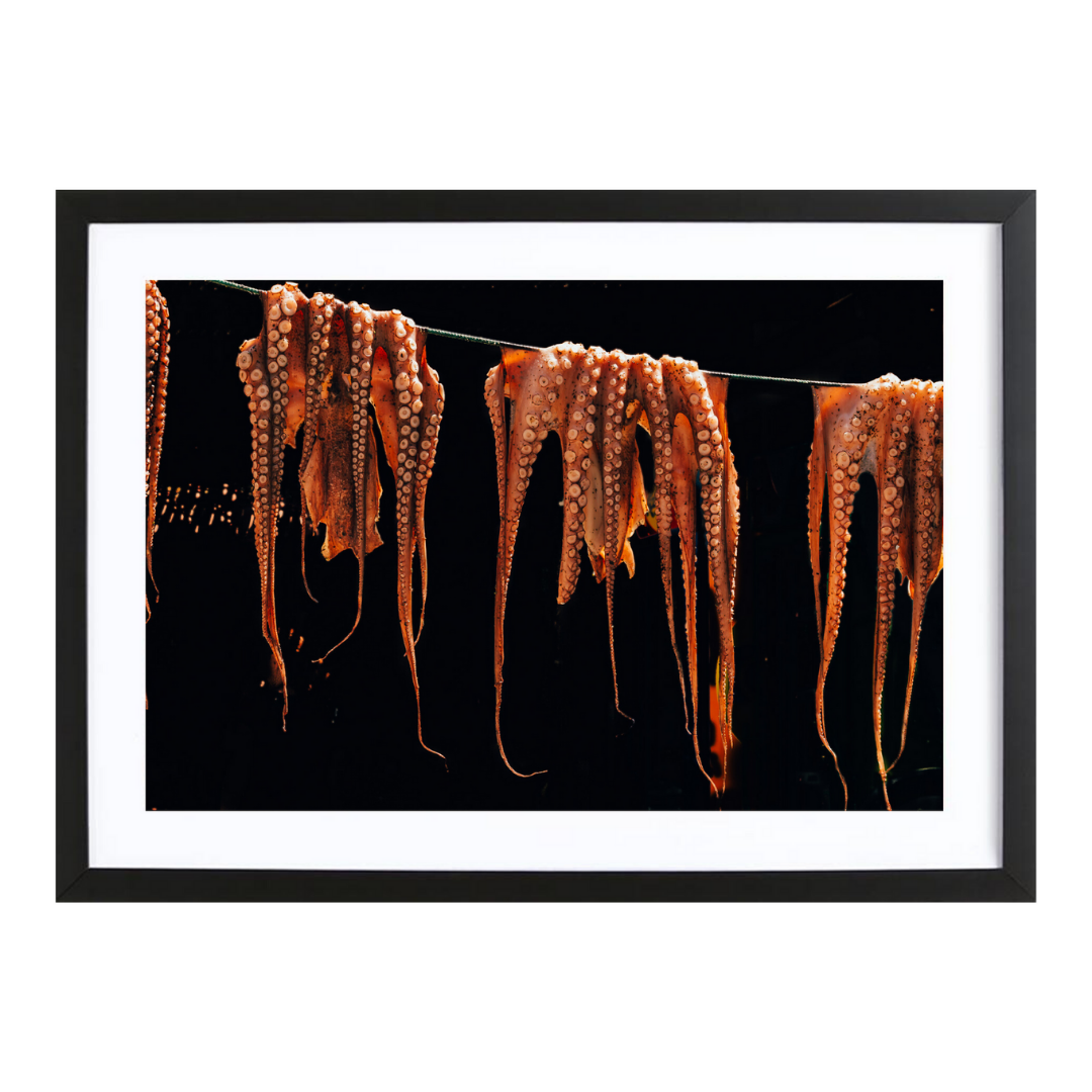 Hanging octapus