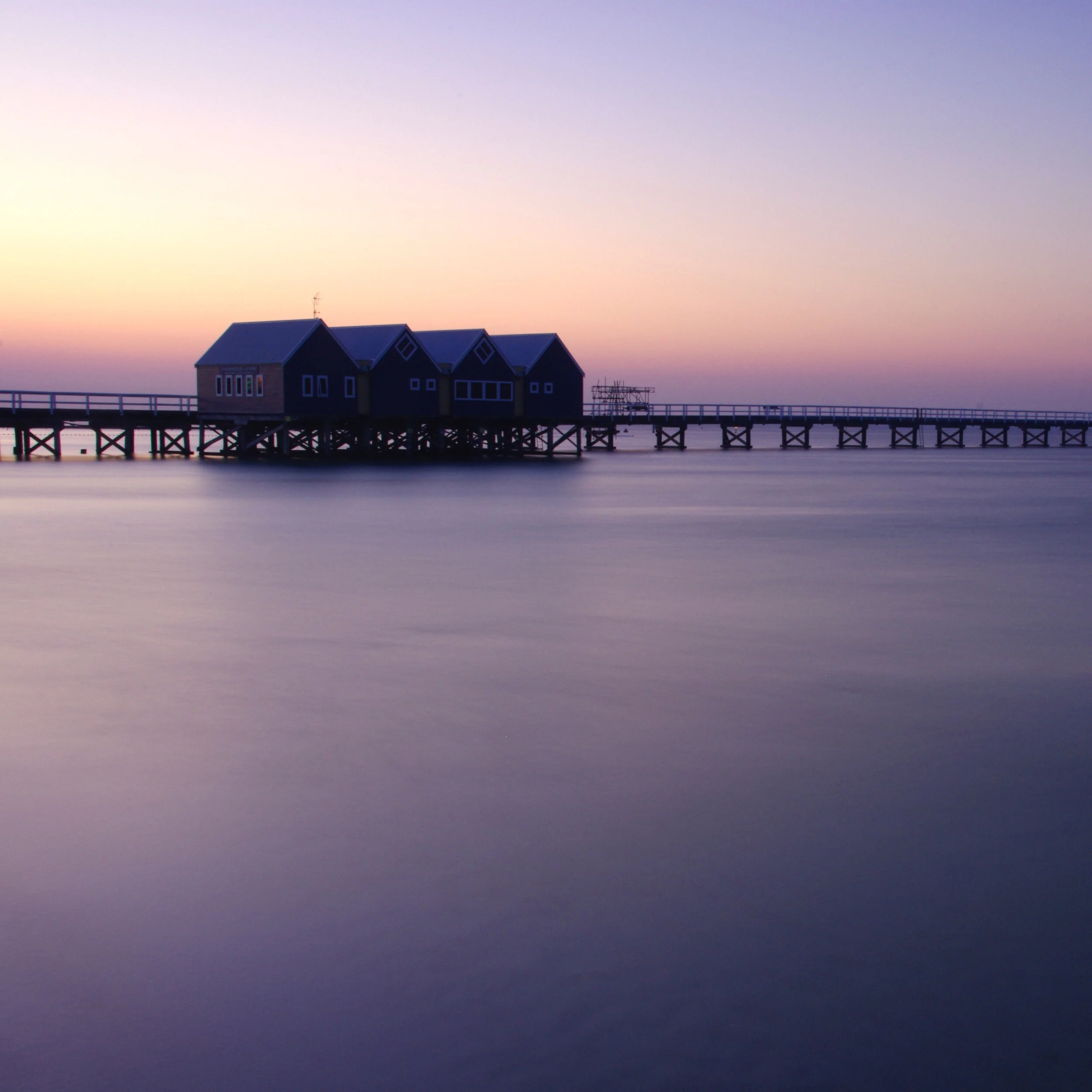 _IGP5873_Index image.jpg