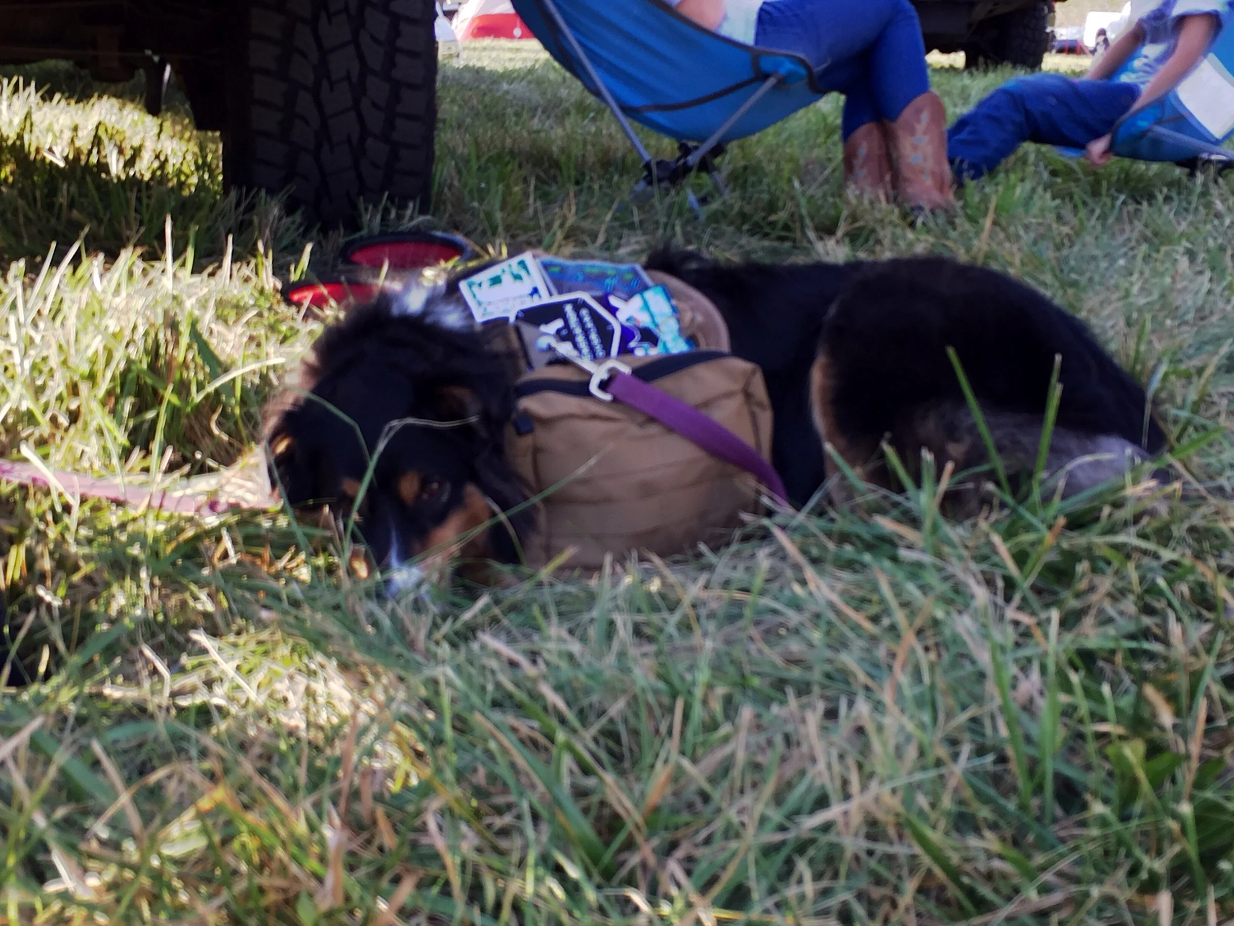 Fiona taking a break at Overland Expo East 2017