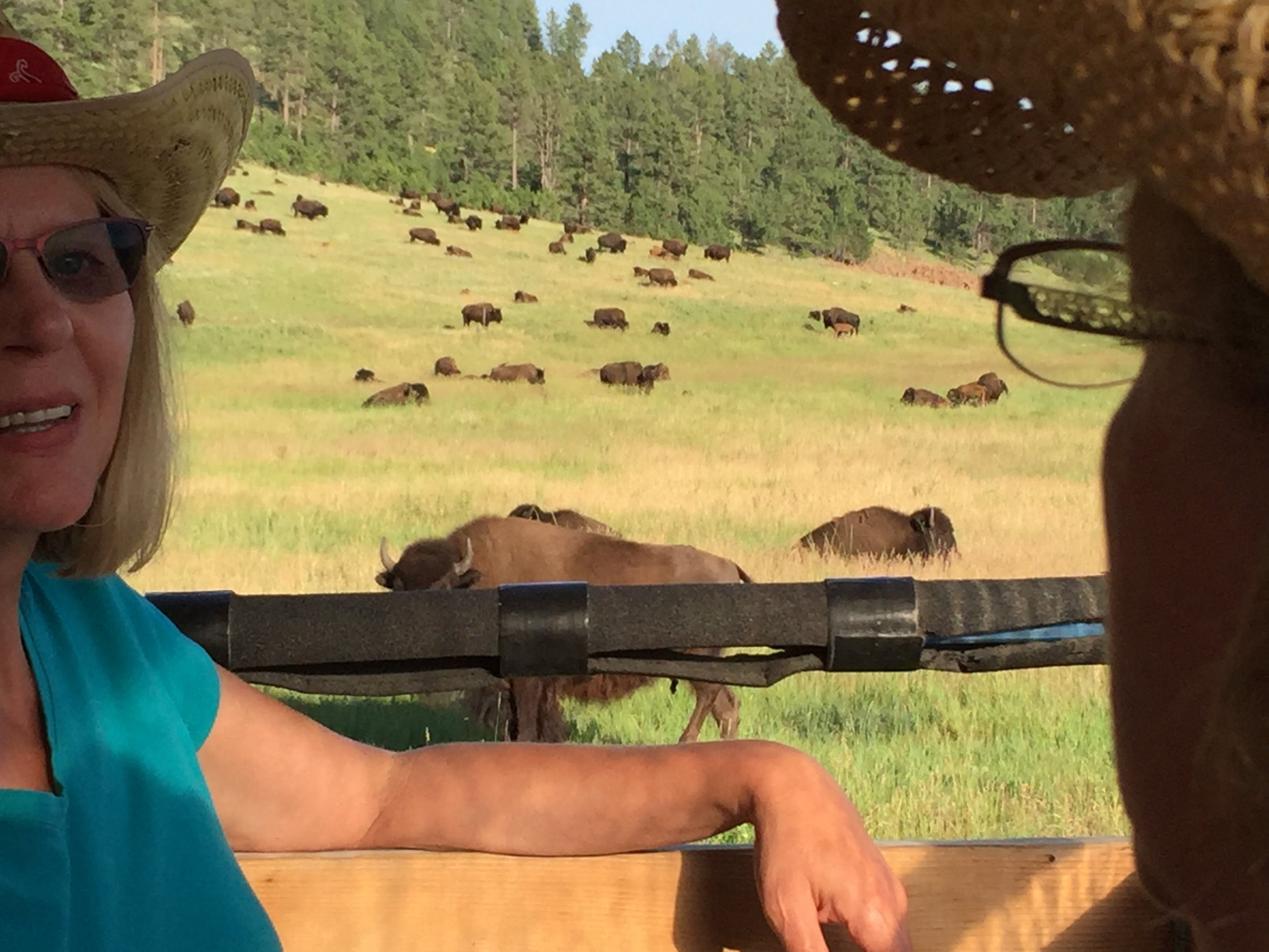  One of the coolest things the girls got to experience in South Dakota was the Chuck-wagon Hayride that Pappa took us on. We were lucky enough to get to experience an entire herd of Buffalo on the way to and from dinner that evening. What a sight!! 