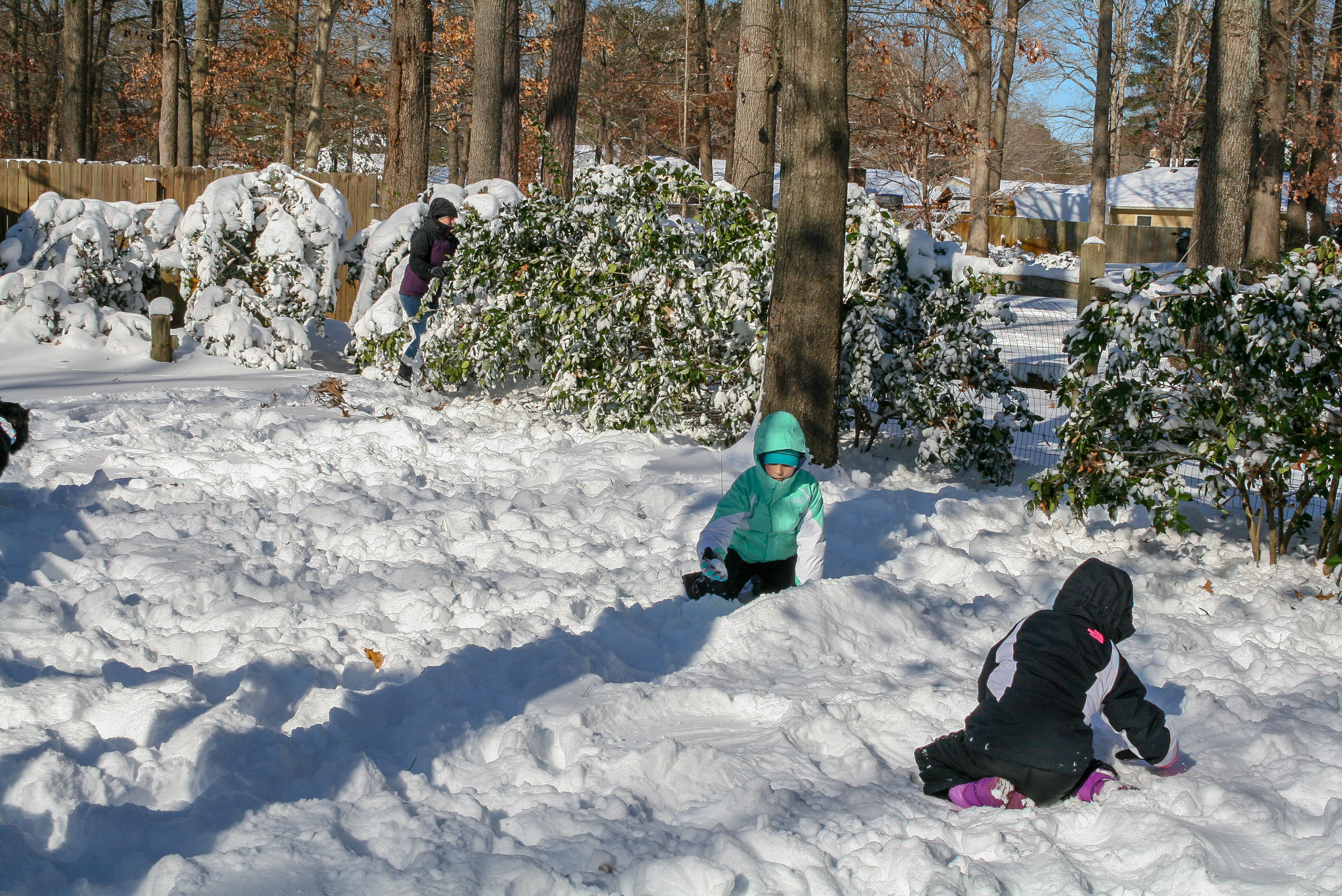  Building fortifications for the ensuing snowball fight! 