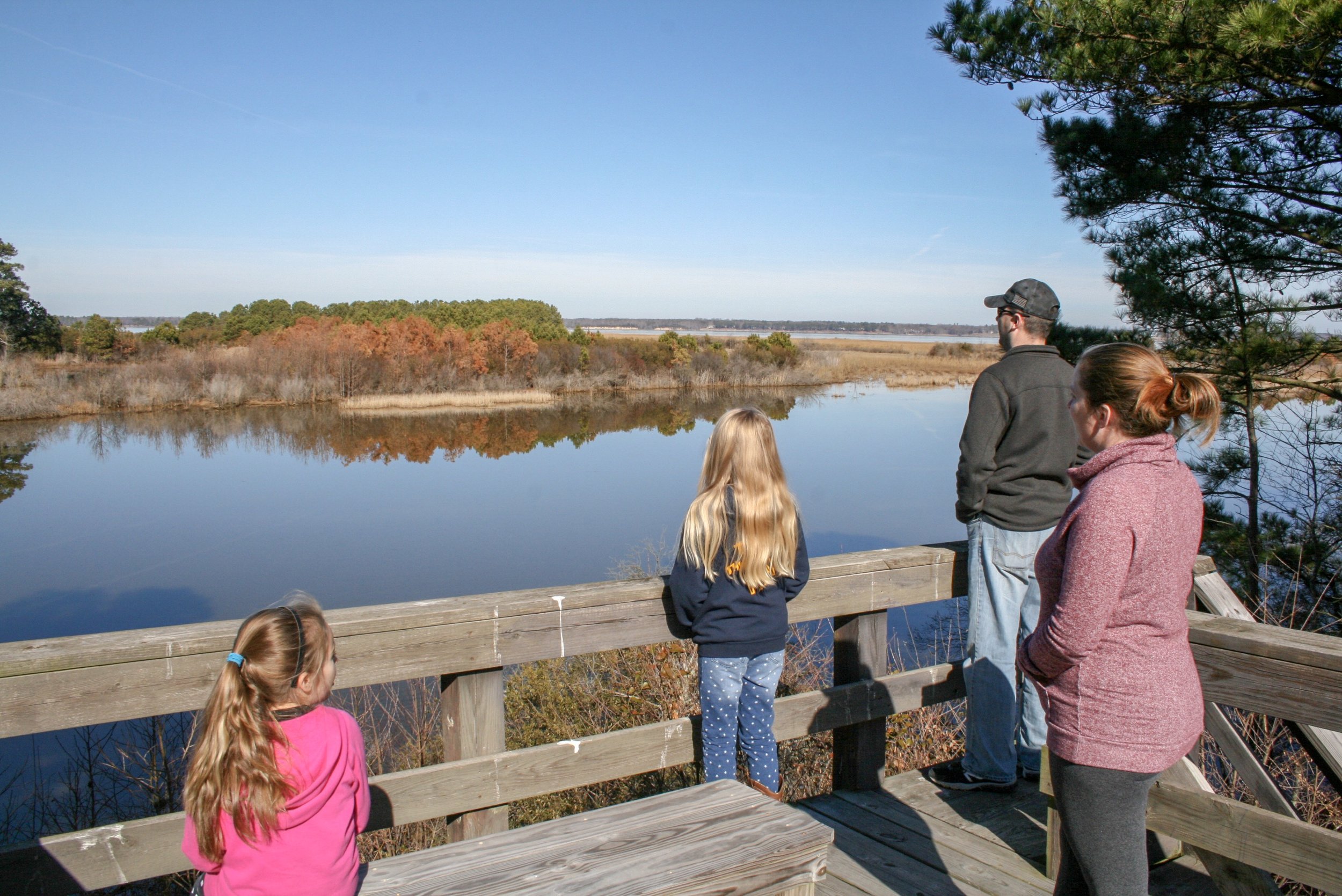  The Observation tower over looking the James River at Hog Island Wildlife Management Area 