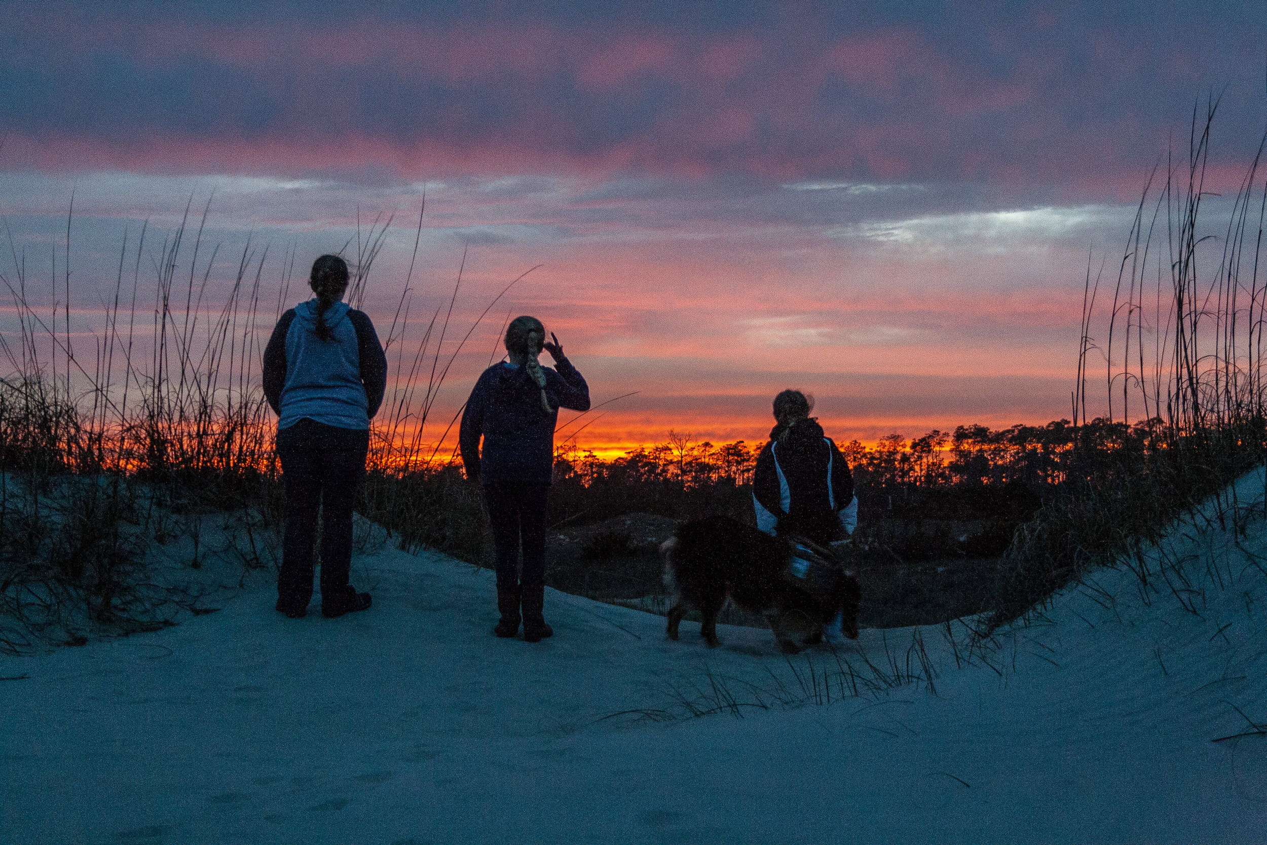  Taking in the beautiful sunset&nbsp; 