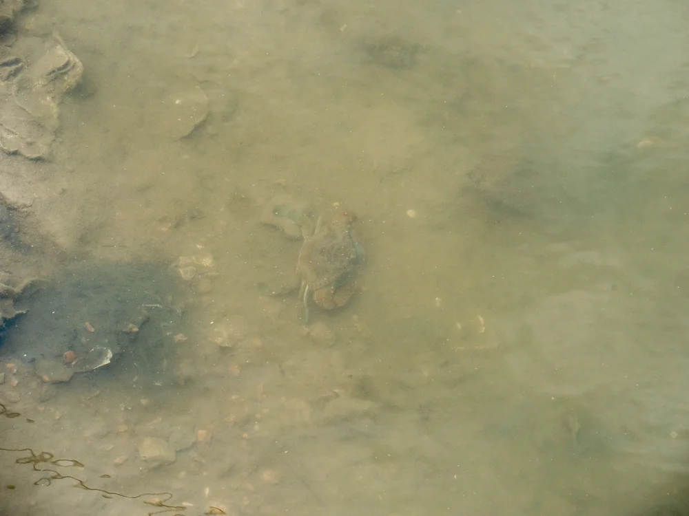 P1477860.jpeg